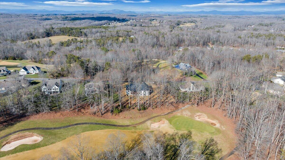 560 Back Nine Dr, Moneta, Virginia image 13