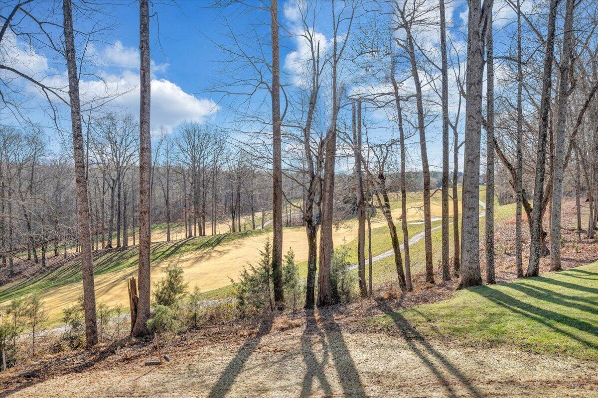 560 Back Nine Dr, Moneta, Virginia image 39