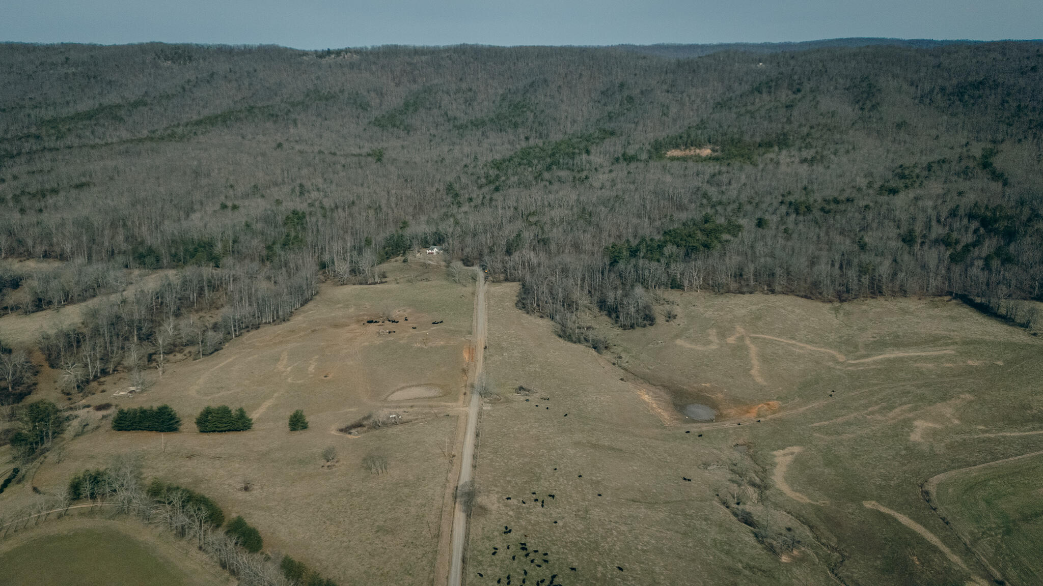 Alum Spring Rd, Dublin, Virginia image 15