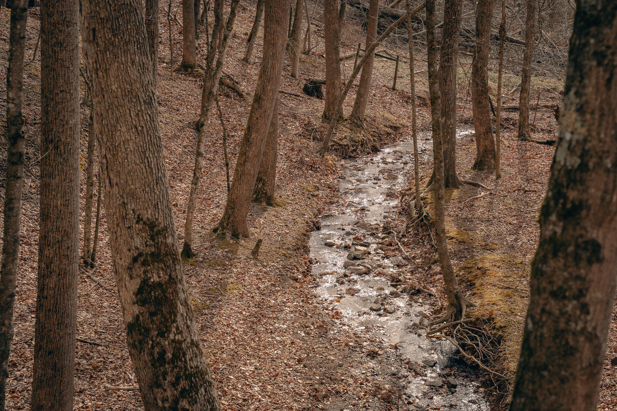 Alum Spring Rd, Dublin, Virginia image 8