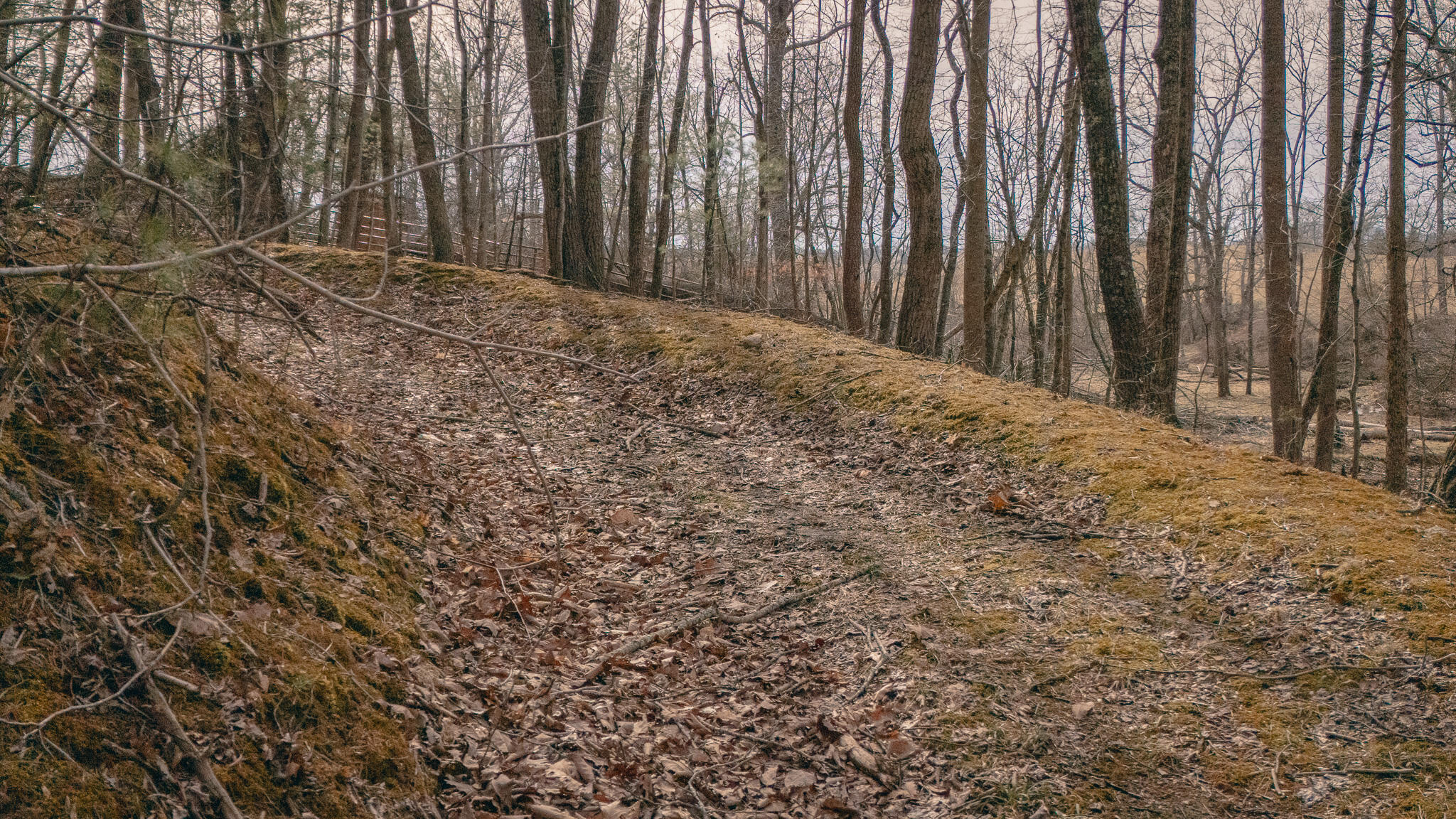 Alum Spring Rd, Dublin, Virginia image 1