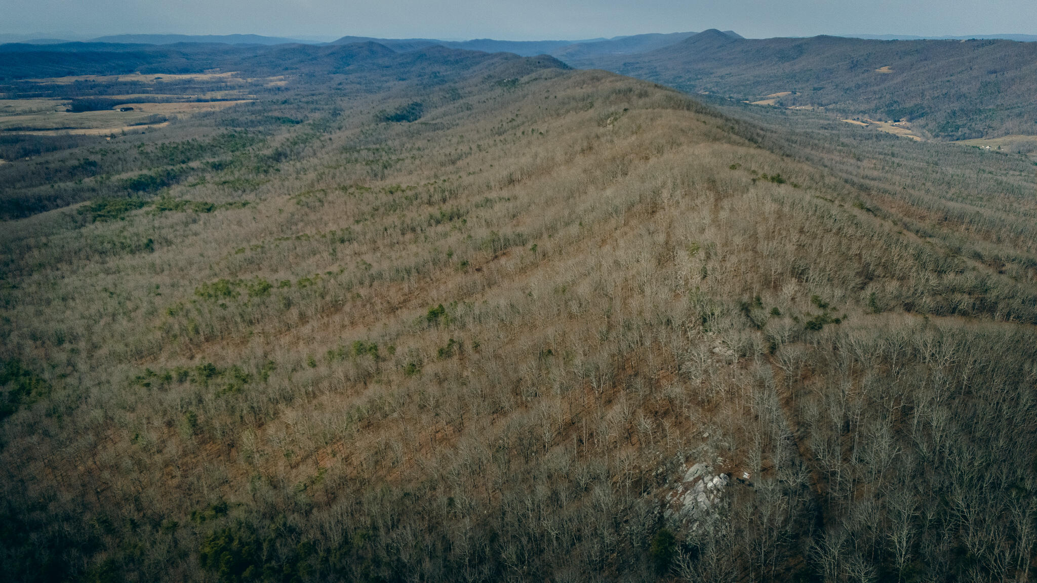 Alum Spring Rd, Dublin, Virginia image 13