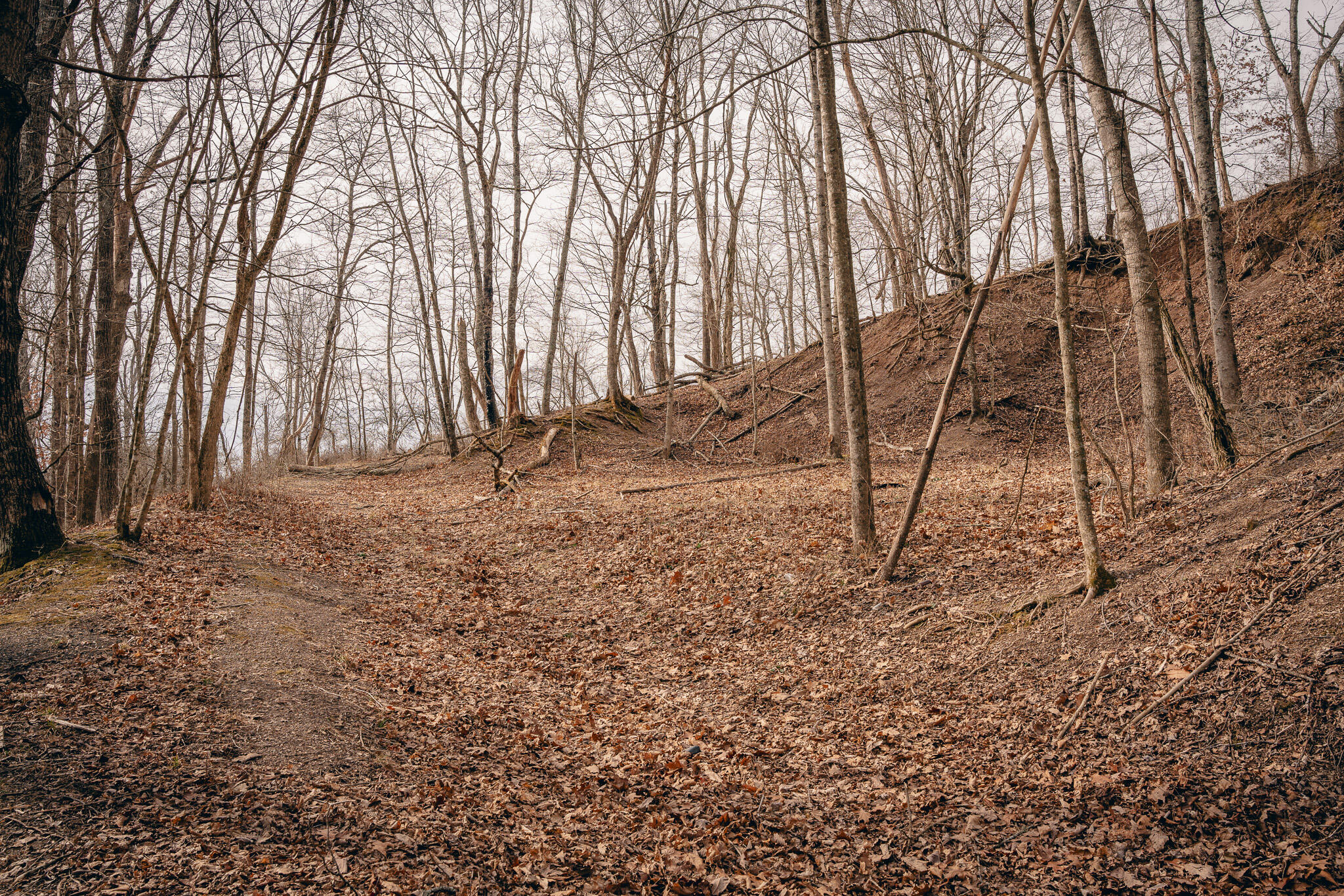 Alum Spring Rd, Dublin, Virginia image 10