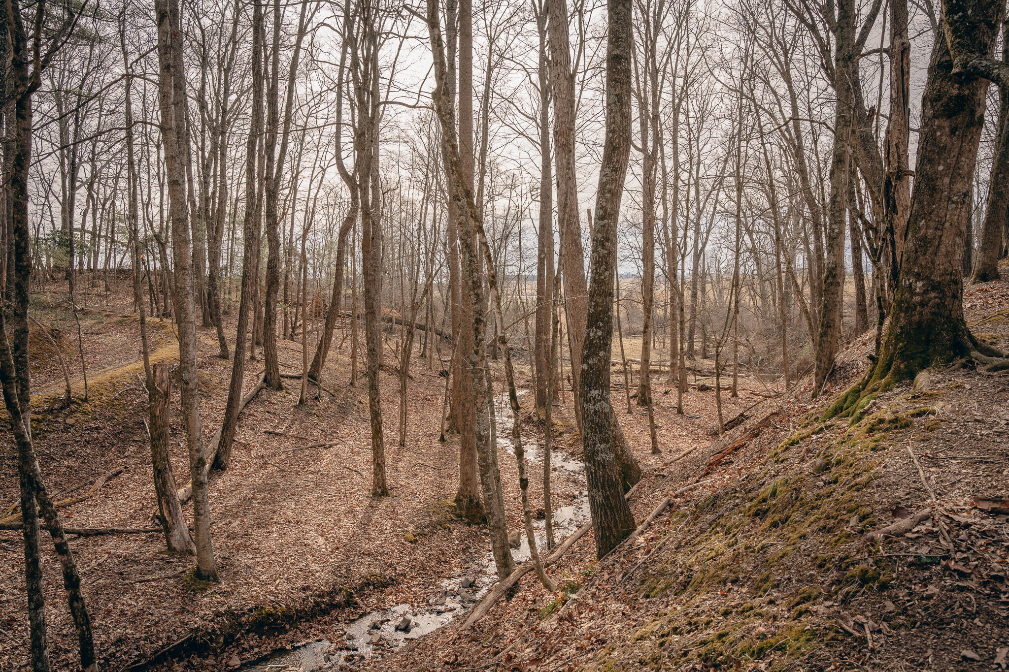 Alum Spring Rd, Dublin, Virginia image 9