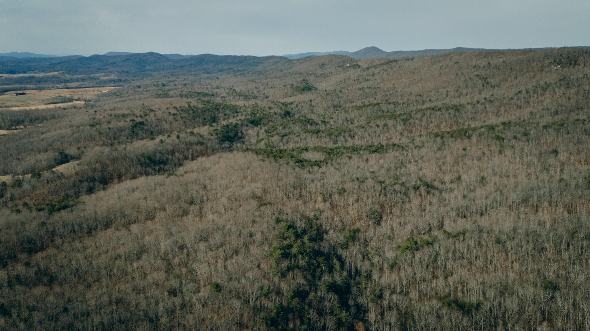 Alum Spring Rd, Dublin, Virginia image 6