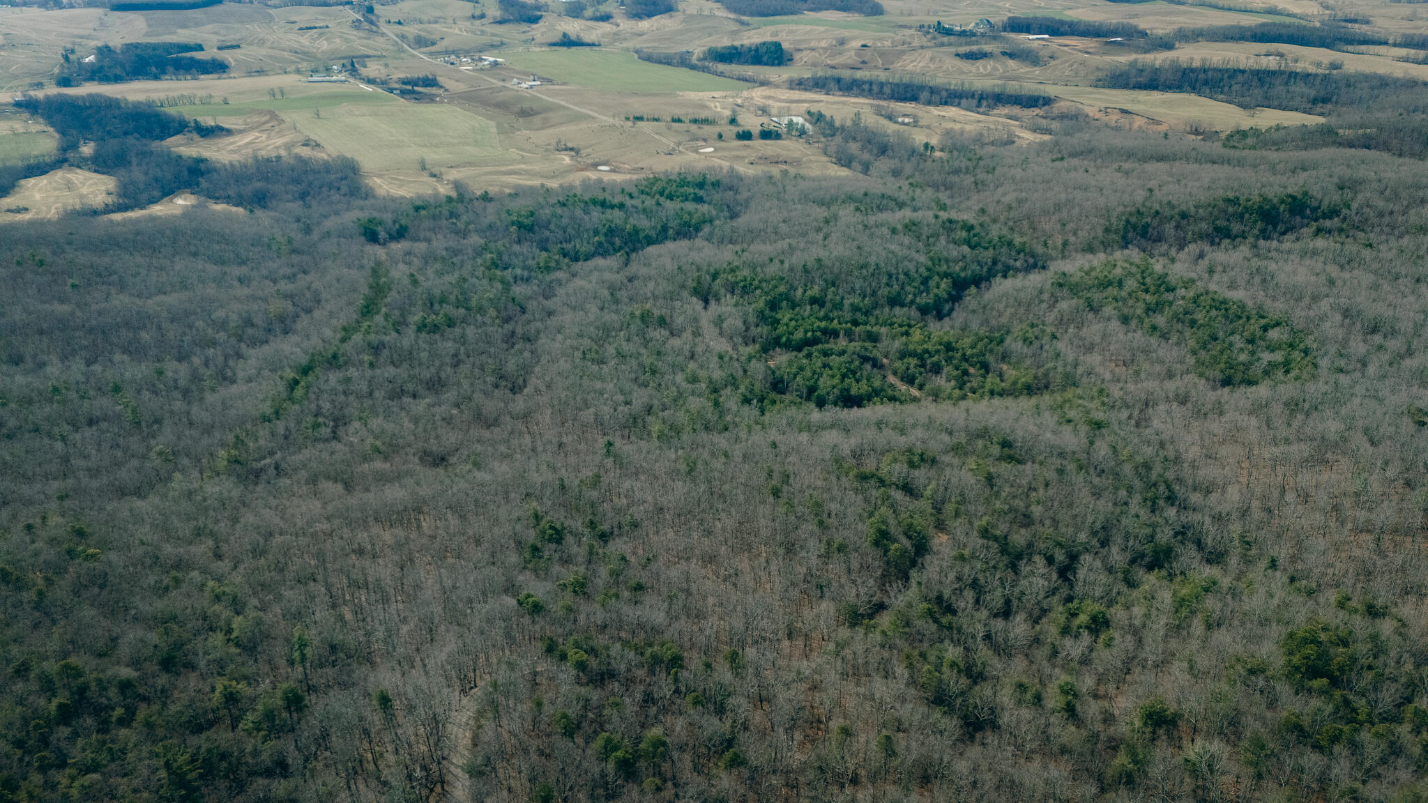 Alum Spring Rd, Dublin, Virginia image 12