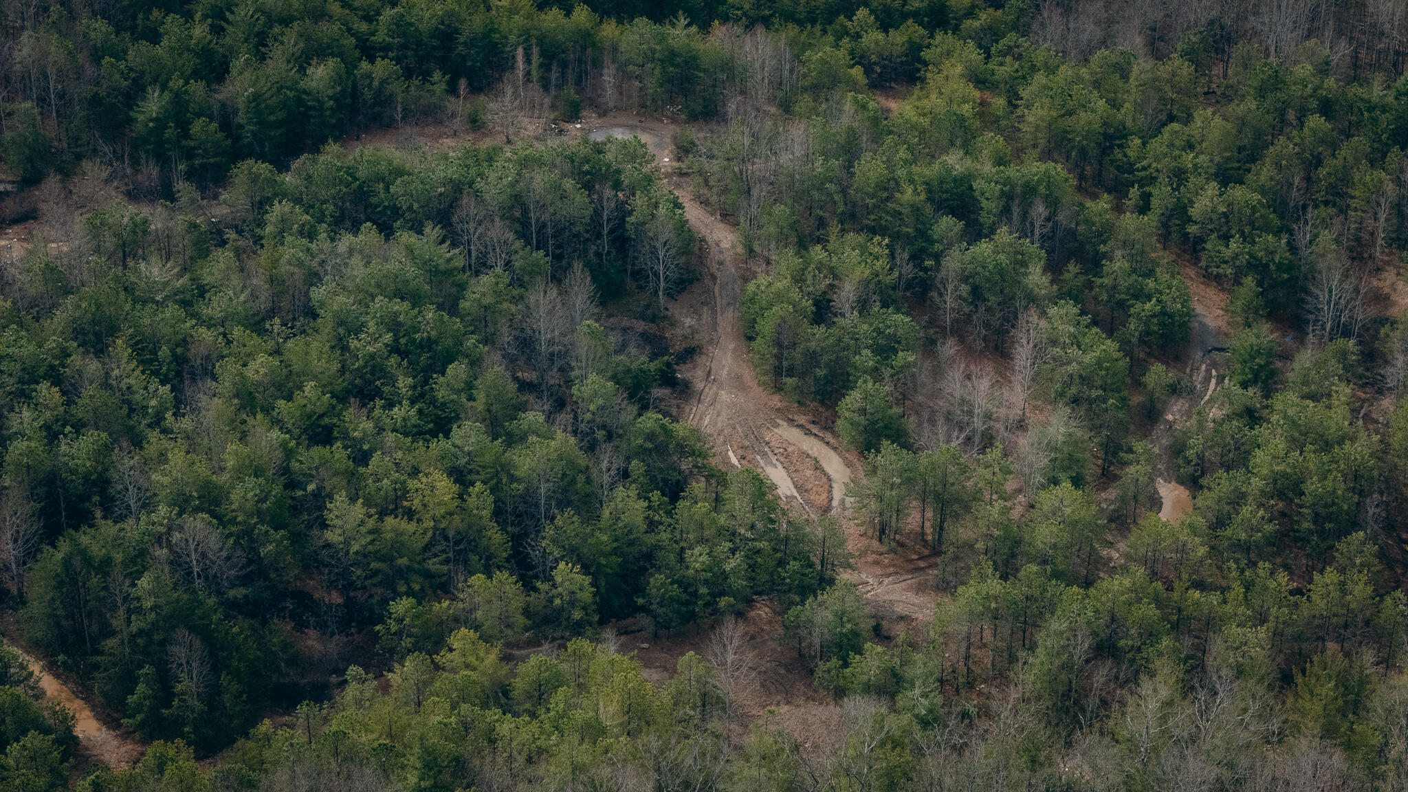 Alum Spring Rd, Dublin, Virginia image 3
