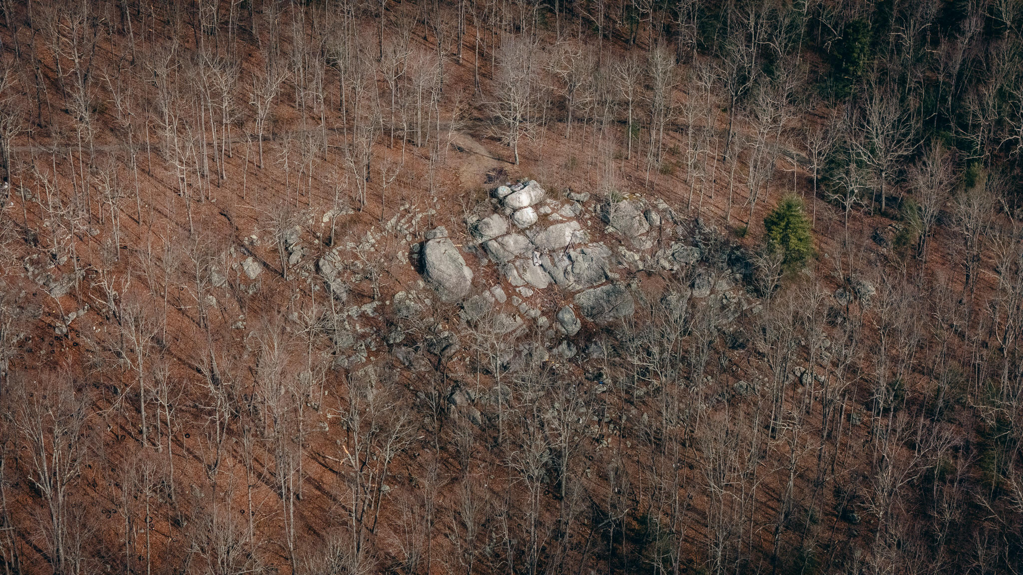 Alum Spring Rd, Dublin, Virginia image 5