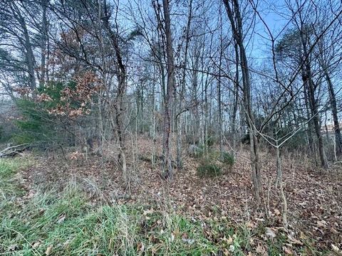 Vacant Land For Sale - Cumberland Gap Rd<br/> New Castle, VA 24127