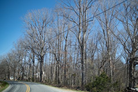 Vacant Land For Sale - Morgans Church Rd<br/> Moneta, VA 24121