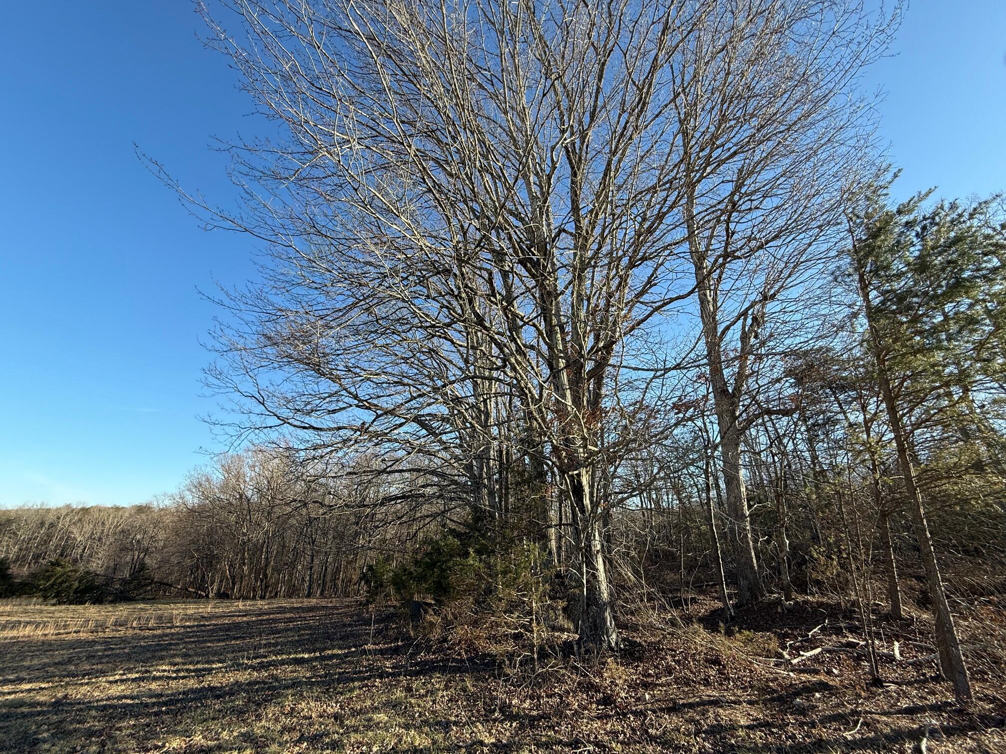 Lot 2 Lovely Valley Rd, Wirtz, Virginia image 4