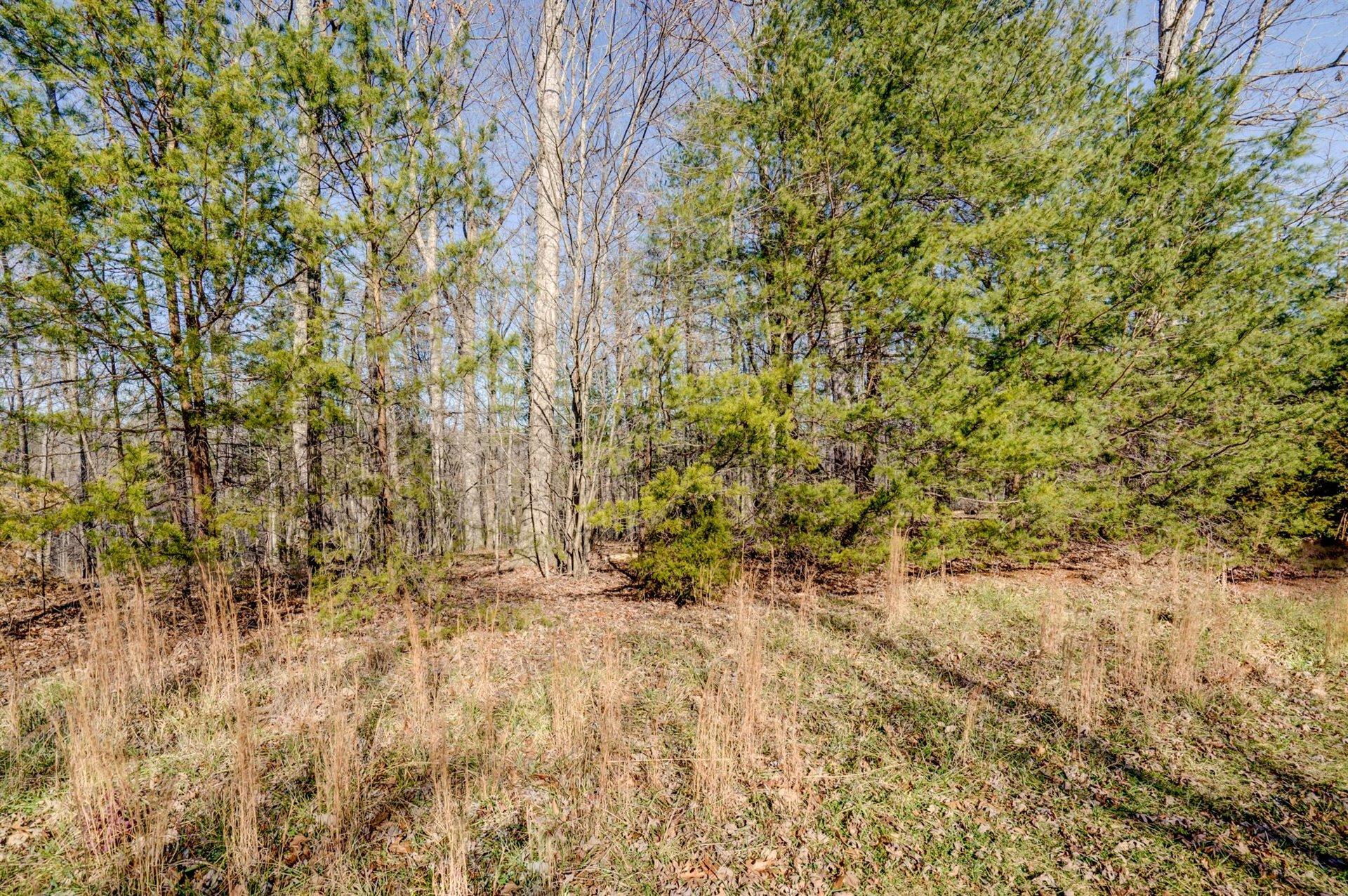 Lot 10 Woods Edge Dr, Rocky Mount, Virginia image 6