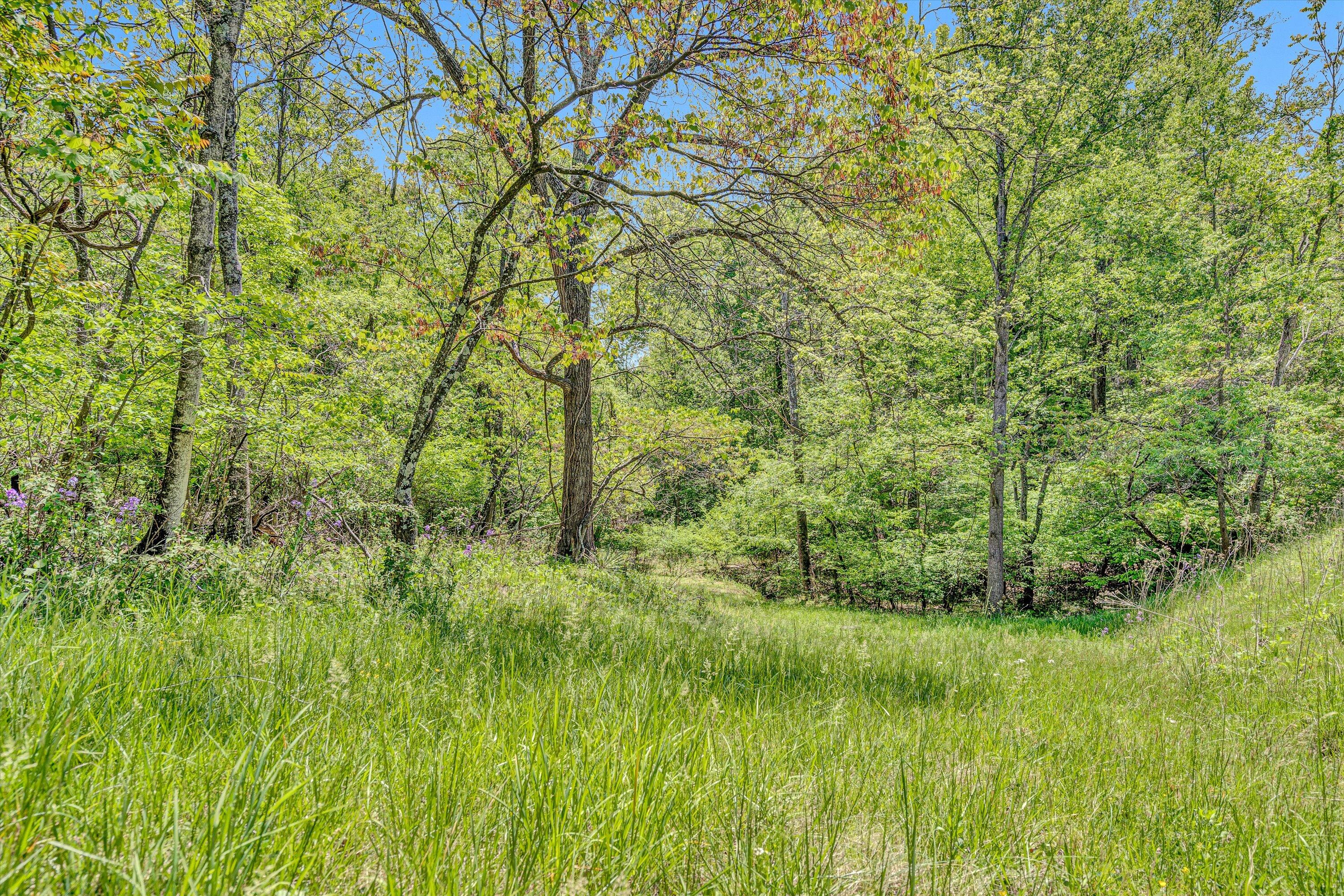 Thompson Memorial Dr, Salem, Virginia image 11