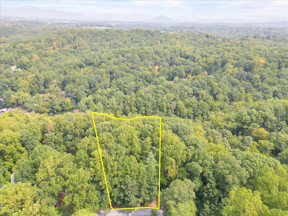 Lot 27 Lake Trail Ct, Goodview, Virginia image 11