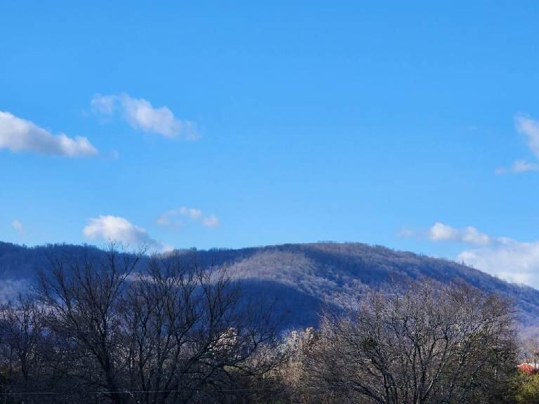 2225 Irving Rd, Thaxton, Virginia image 16