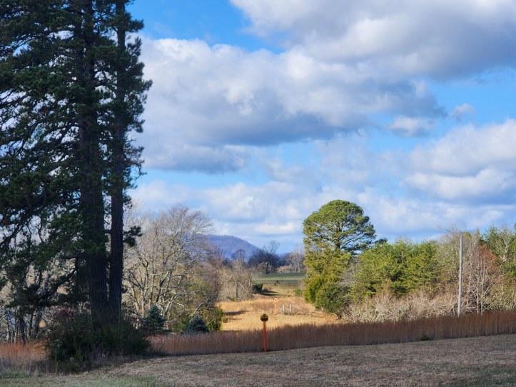 2225 Irving Rd, Thaxton, Virginia image 15