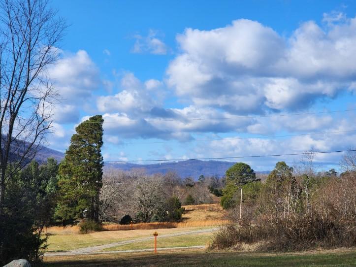 2225 Irving Rd, Thaxton, Virginia image 2