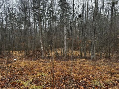 Homes For Sale - TBD Lauren Mill Dr<br/> Fieldale, VA 24089