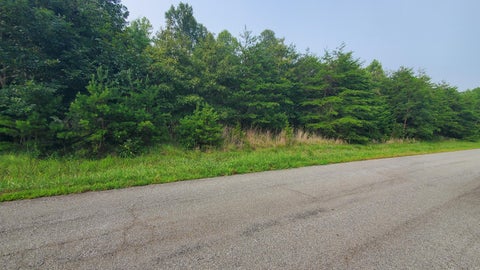 Vacant Land For Sale - Airport Rd<br/> Penhook, VA 24137