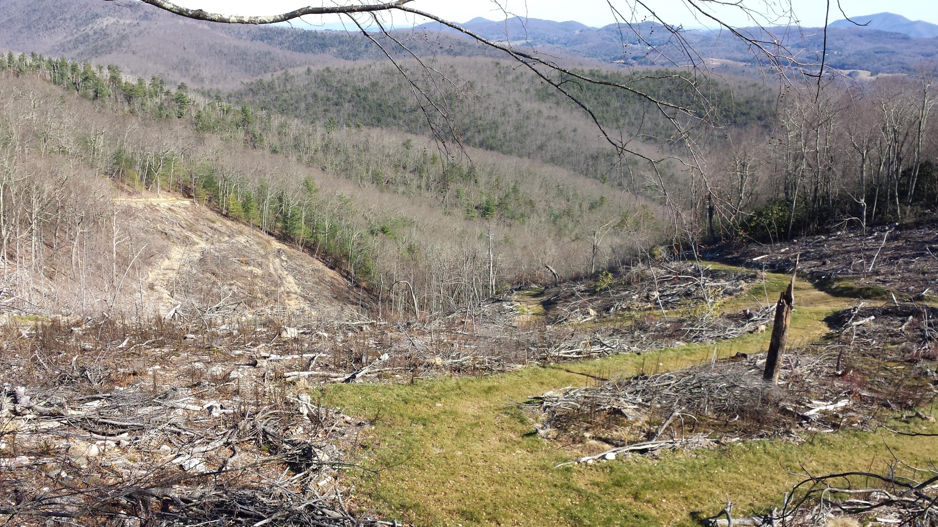 Honeysuckle Rd, Elliston, Virginia image 32