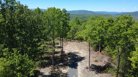 Homes For Sale - Dry Run Overlook<br/> Covington, VA 24426