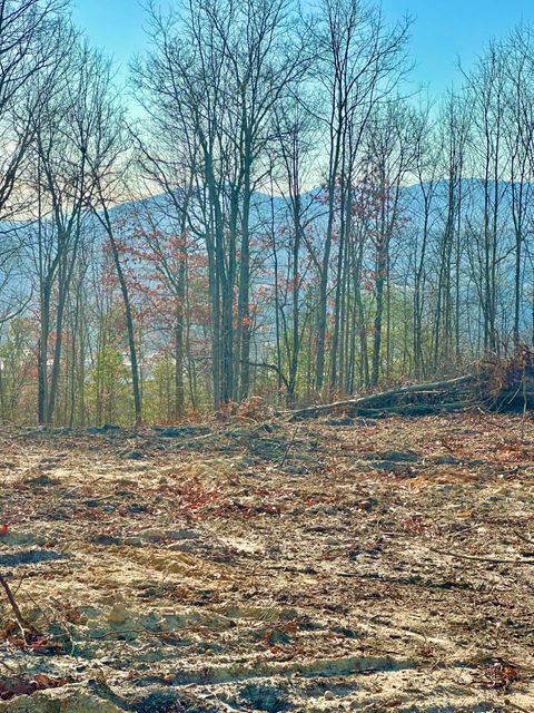 Homes For Sale - Dry Run Overlook<br/> Covington, VA 24426