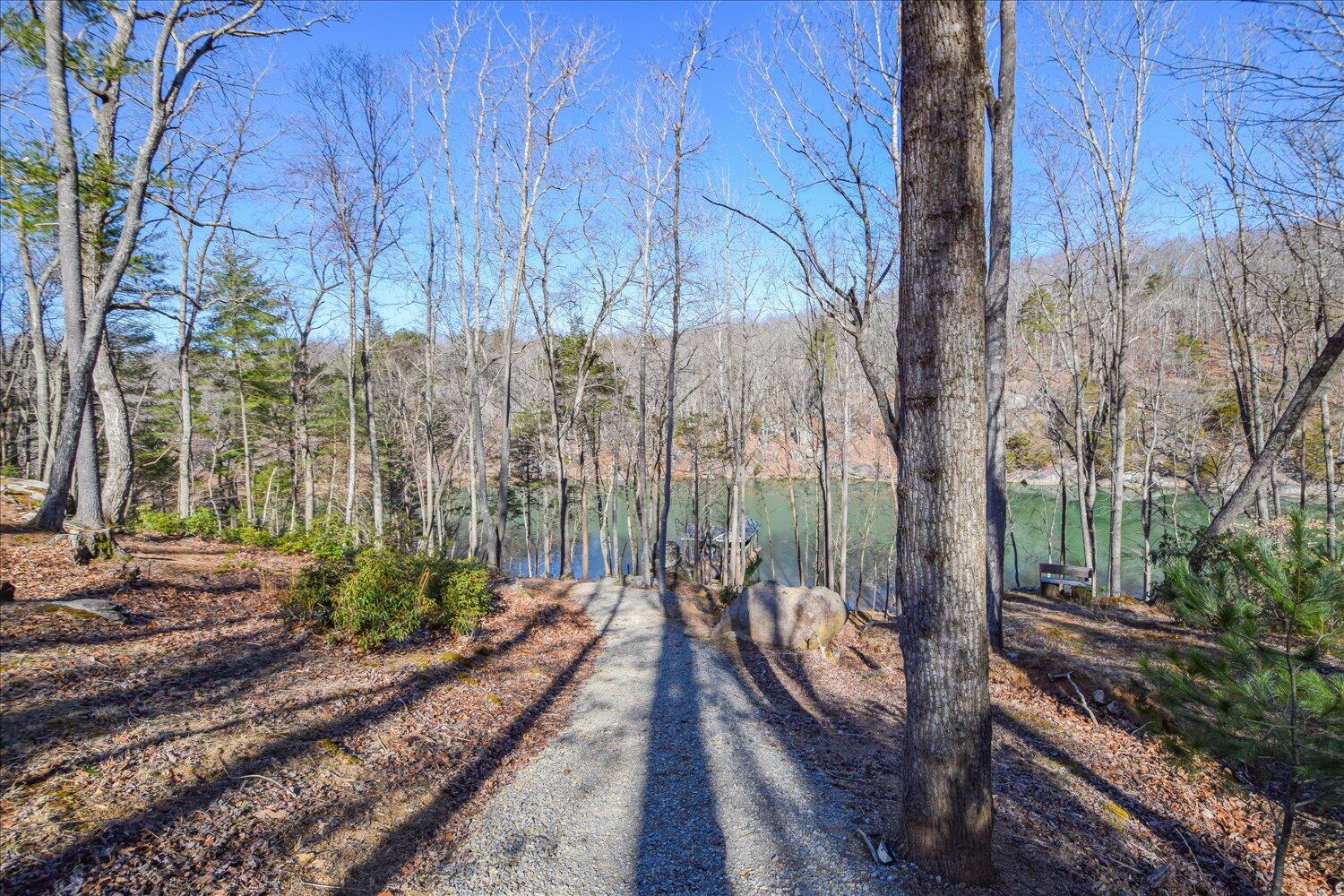 816 Lakeshore Terrace Rd, Hardy, Virginia image 46