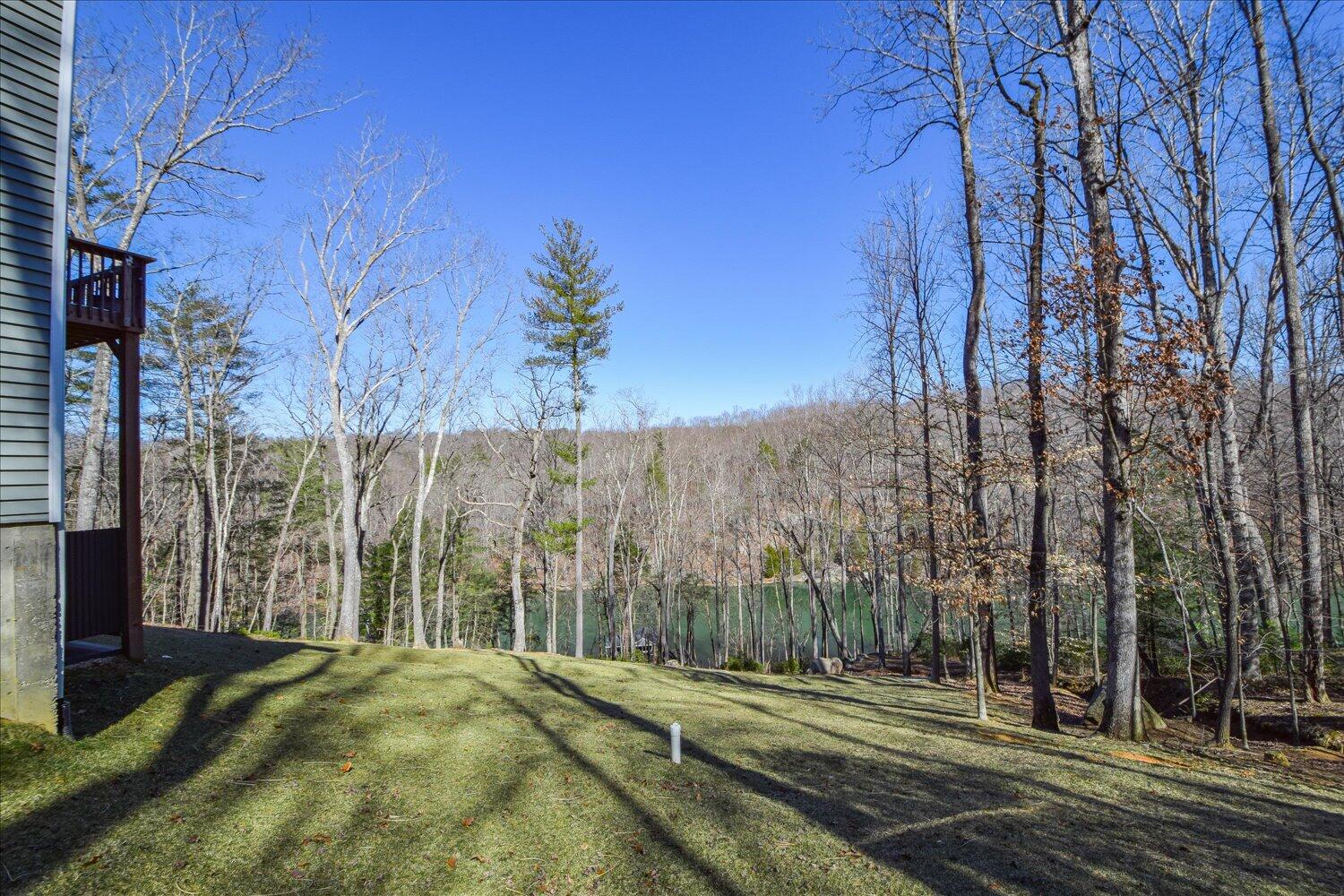 816 Lakeshore Terrace Rd, Hardy, Virginia image 43