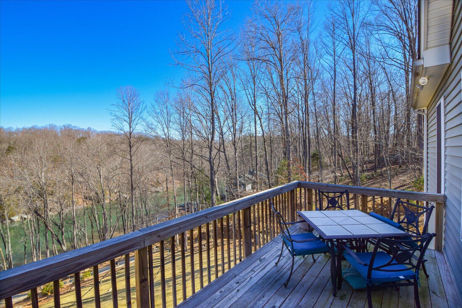 816 Lakeshore Terrace Rd, Hardy, Virginia image 44