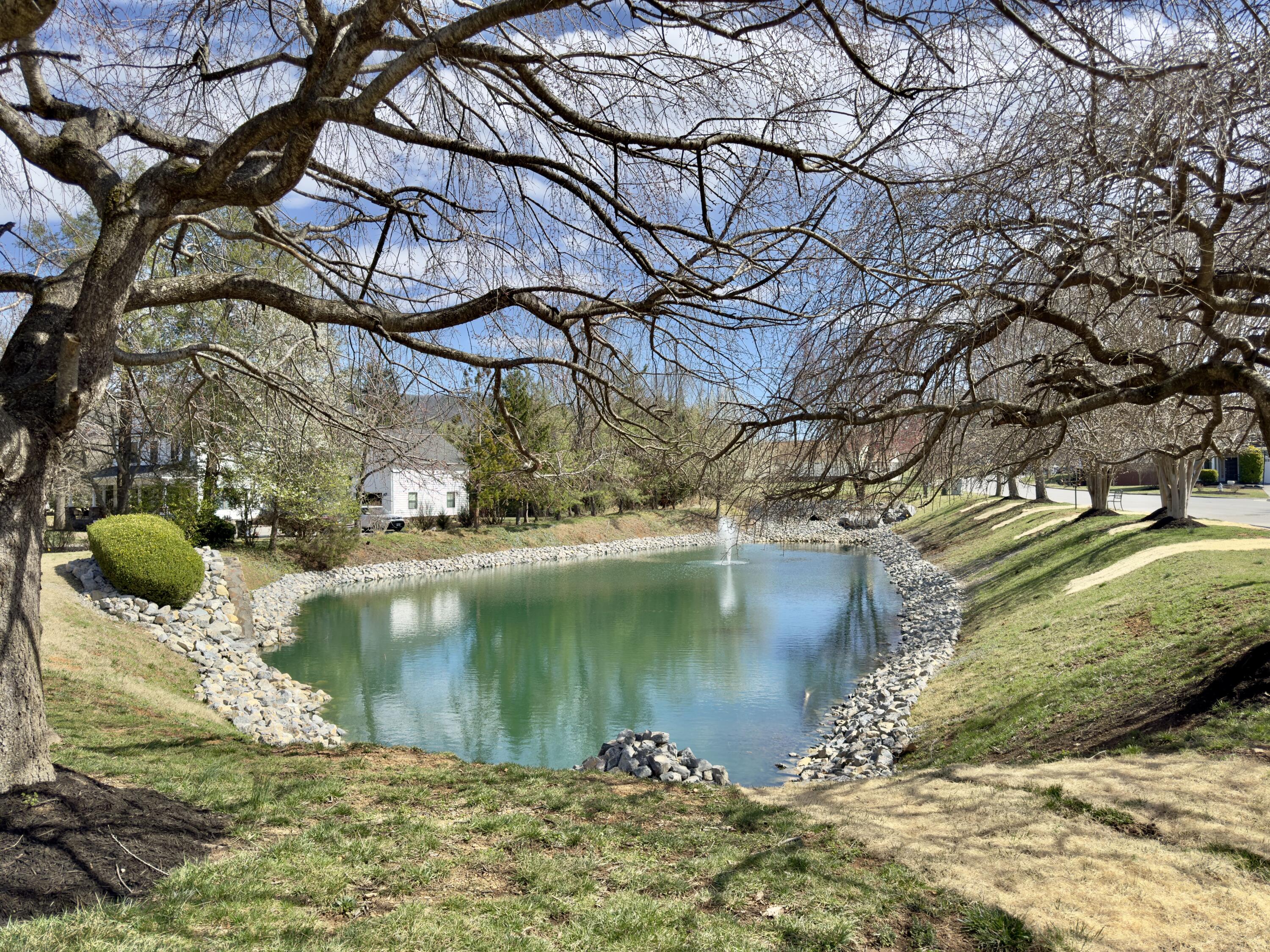 719 South Battery Dr, Roanoke, Virginia image 46
