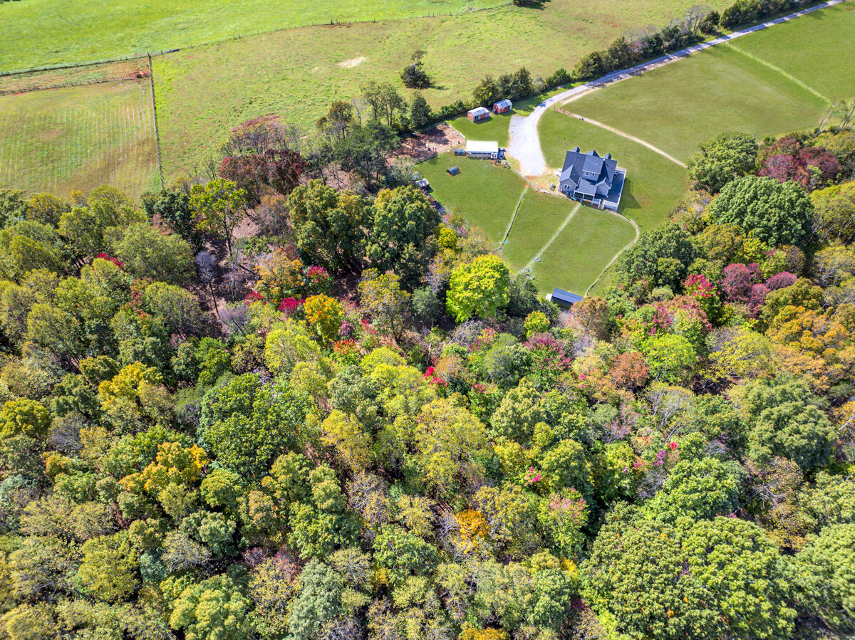 1169 Mountain Creek Ln, Big Island, Virginia image 42