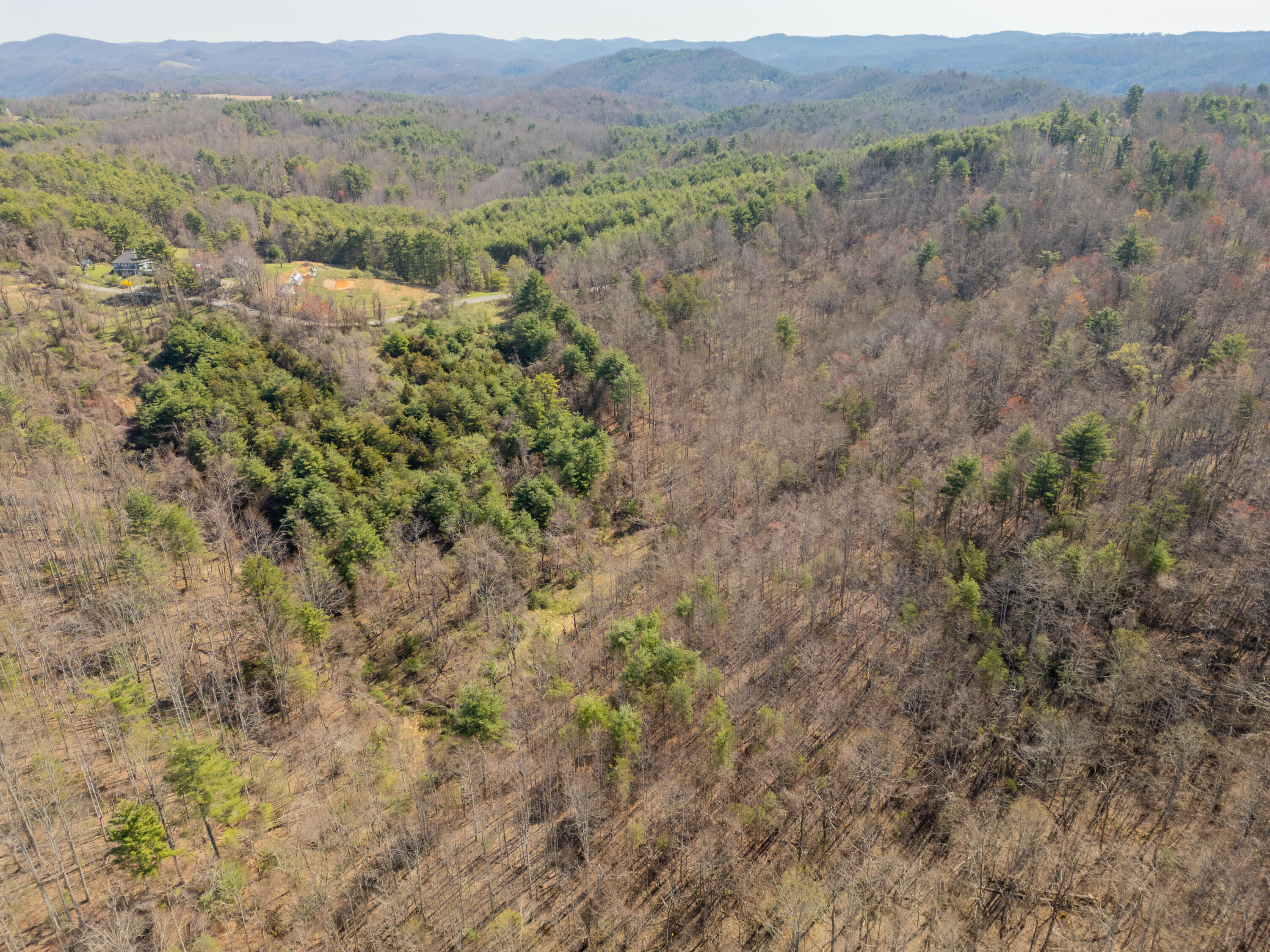 Lick Ridge Rd, Check, Virginia image 35