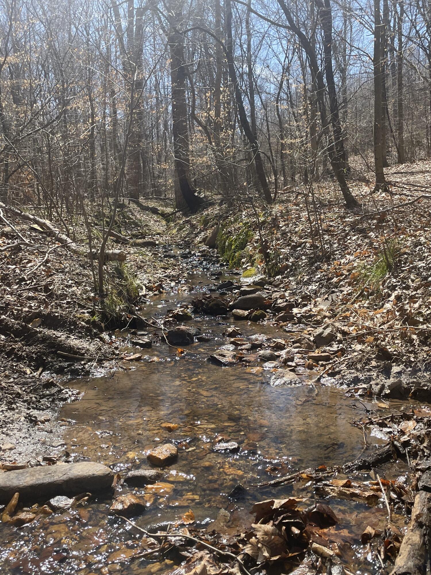 Tract C Clover Creek Rd, Huddleston, Virginia image 22
