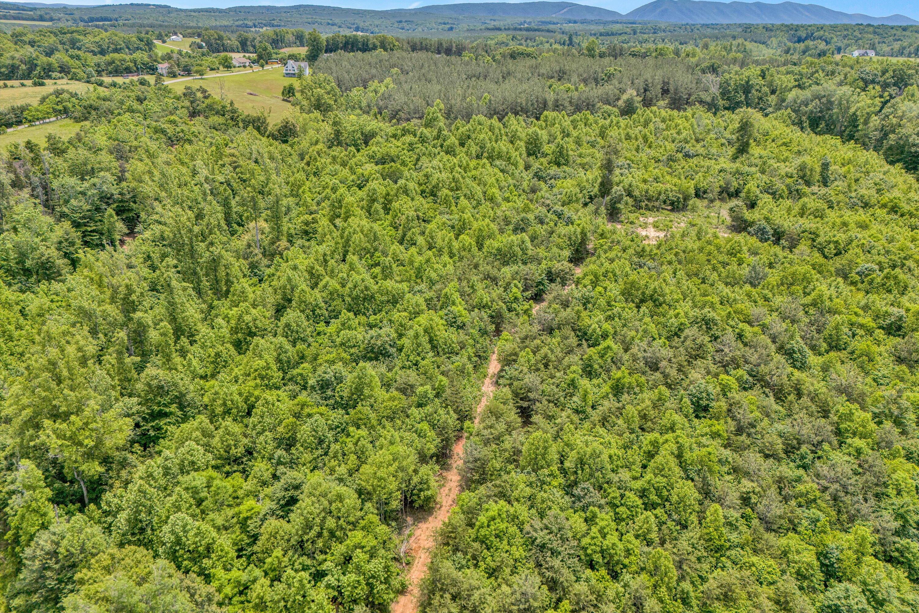 Tract C Clover Creek Rd, Huddleston, Virginia image 8