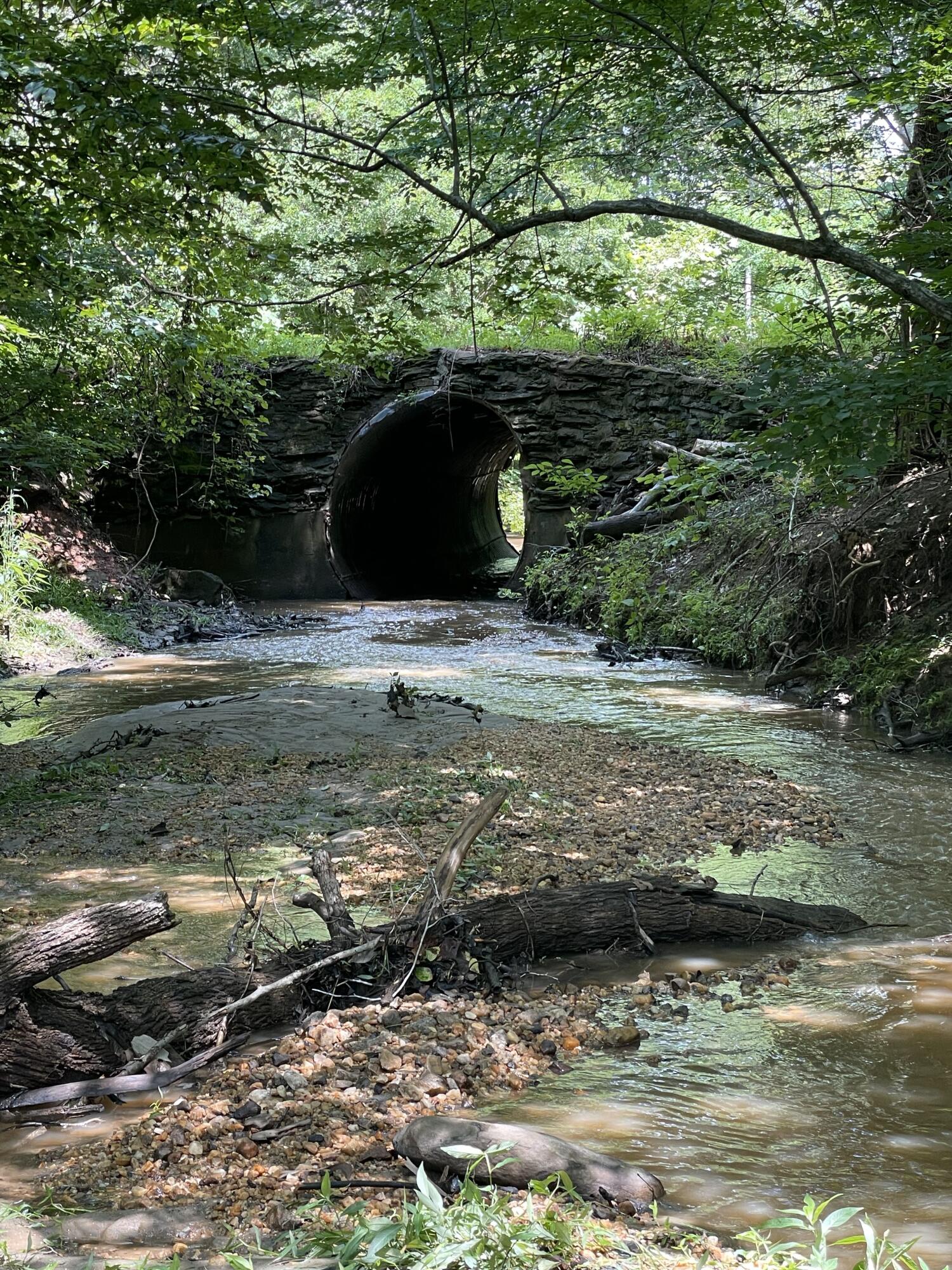 Tract C Clover Creek Rd, Huddleston, Virginia image 19