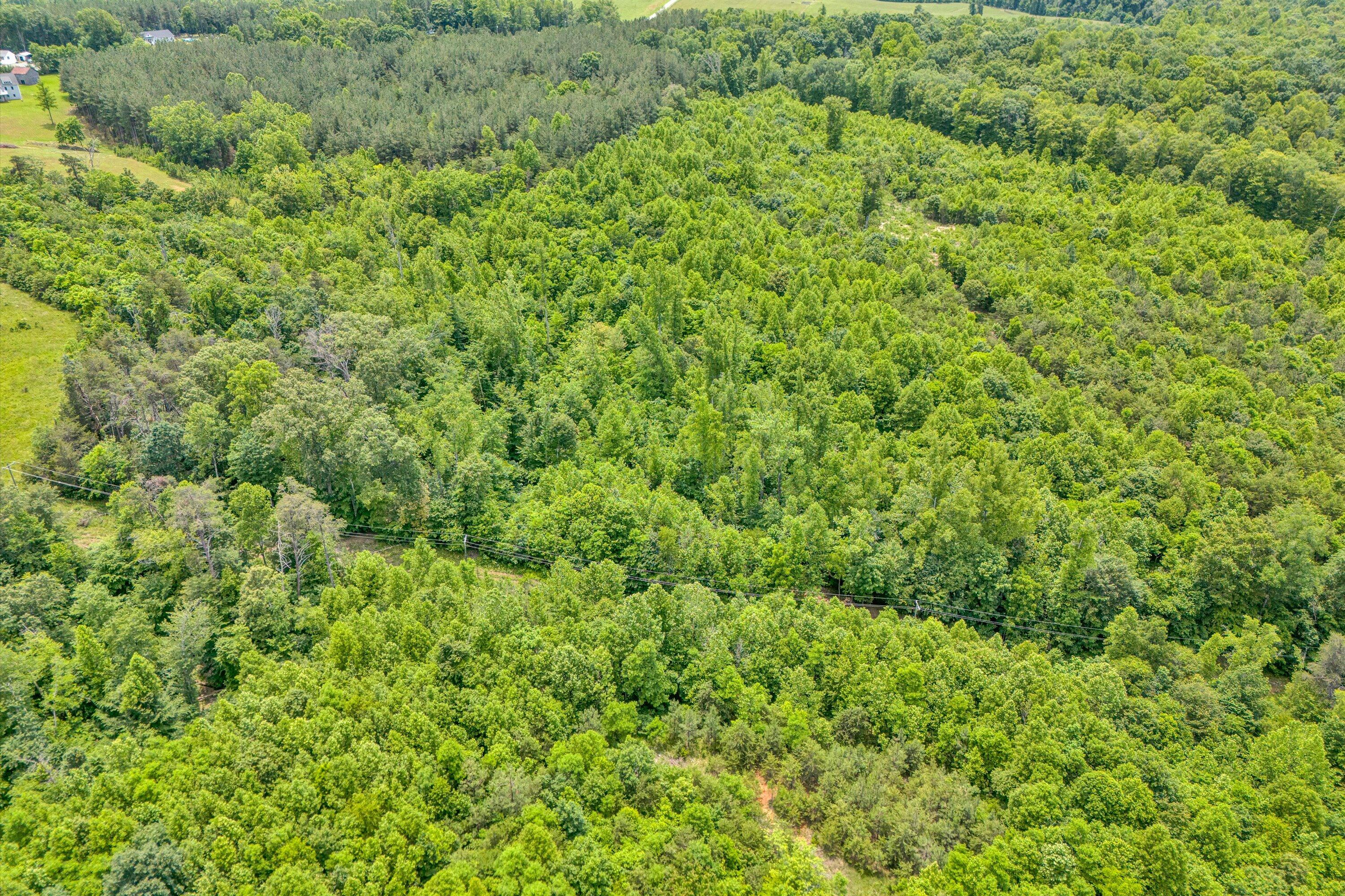 Tract C Clover Creek Rd, Huddleston, Virginia image 3