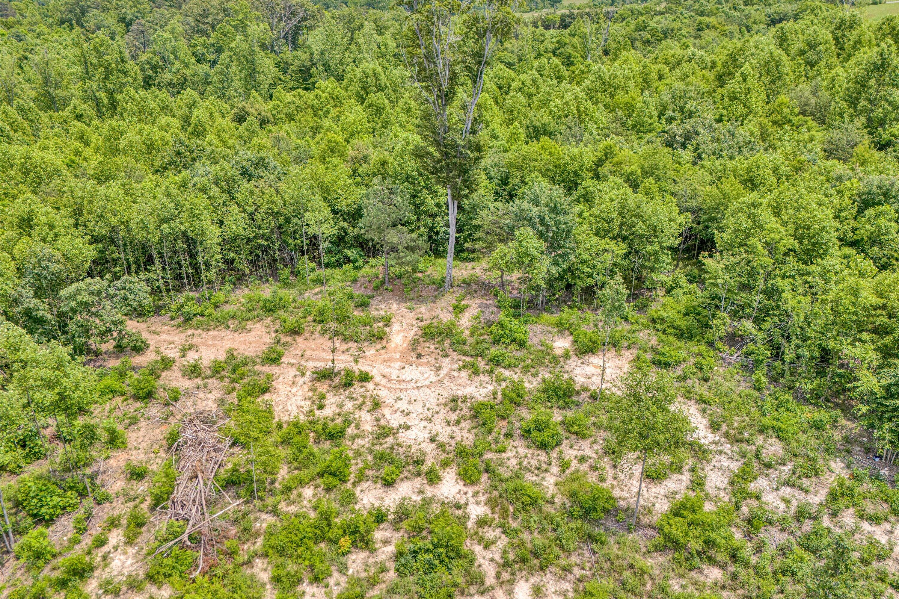 Tract C Clover Creek Rd, Huddleston, Virginia image 7