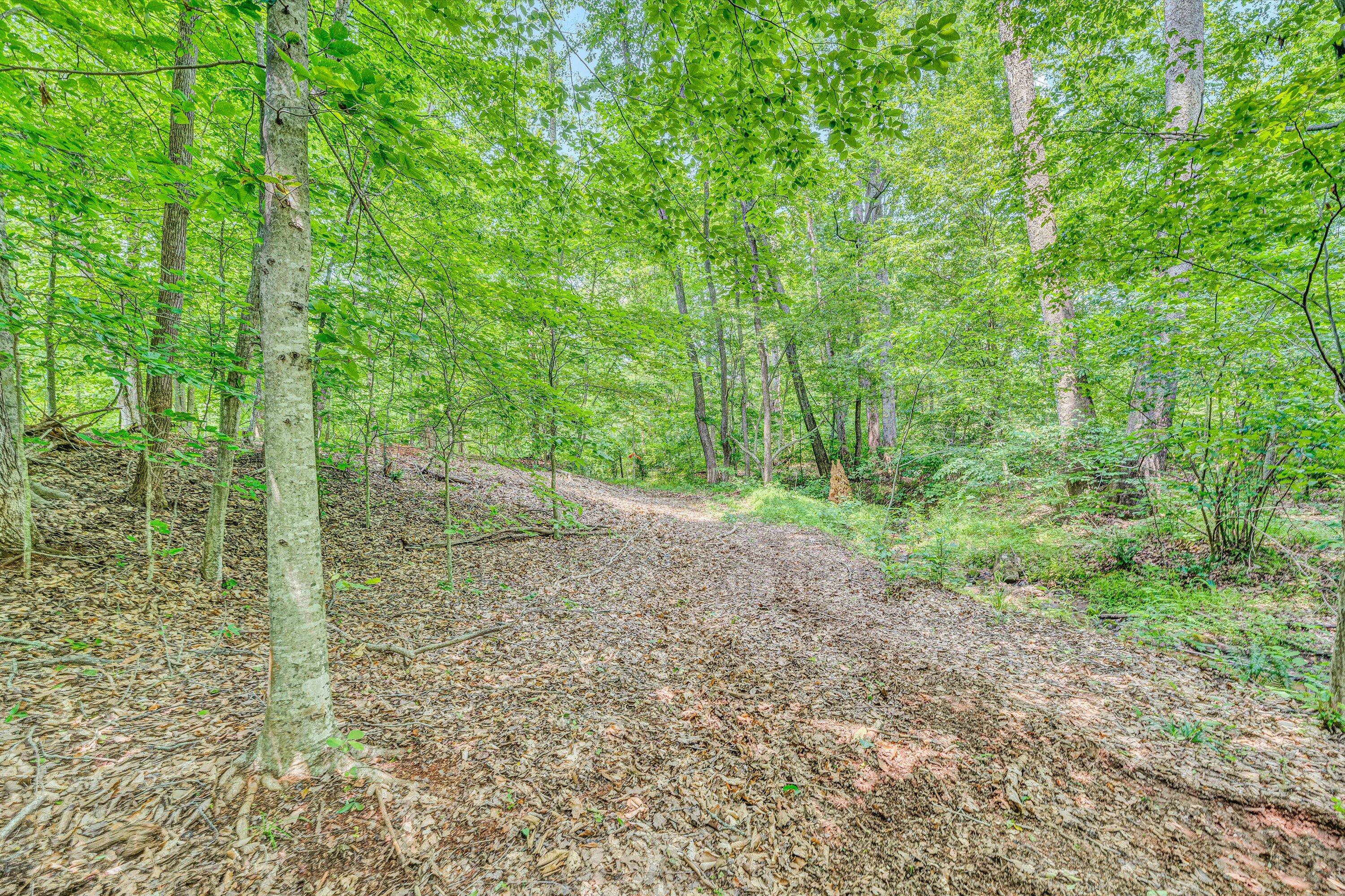Tract C Clover Creek Rd, Huddleston, Virginia image 11