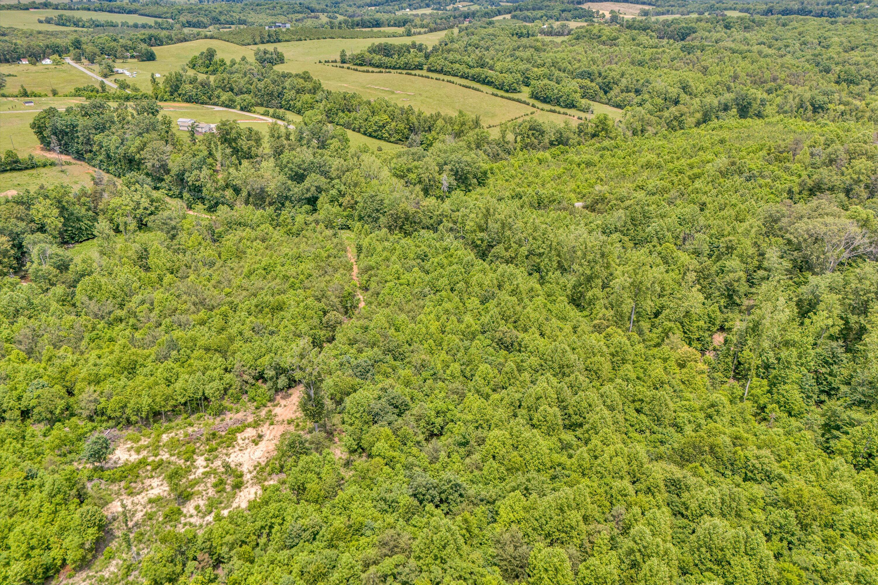 Tract C Clover Creek Rd, Huddleston, Virginia image 5