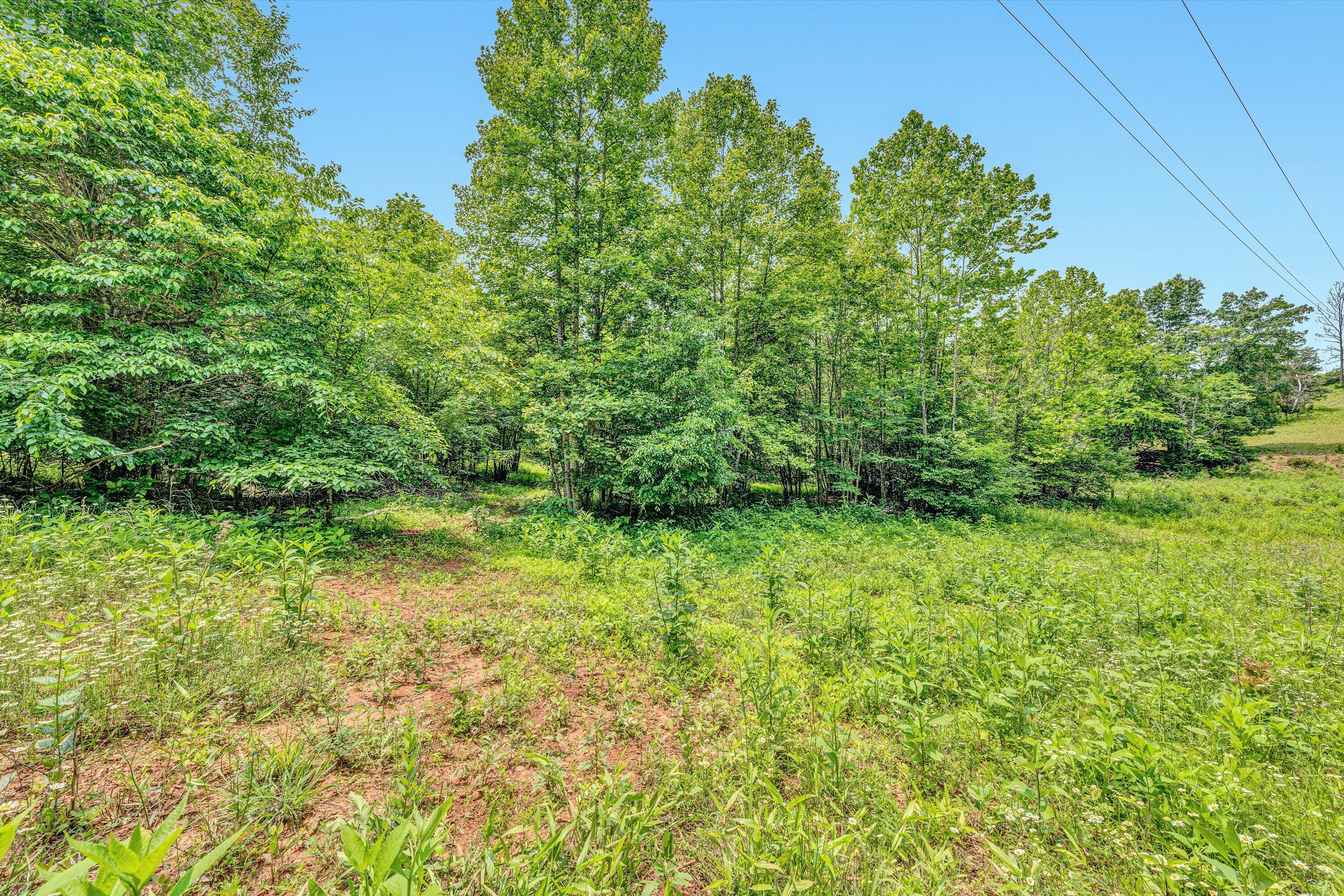 Tract C Clover Creek Rd, Huddleston, Virginia image 14