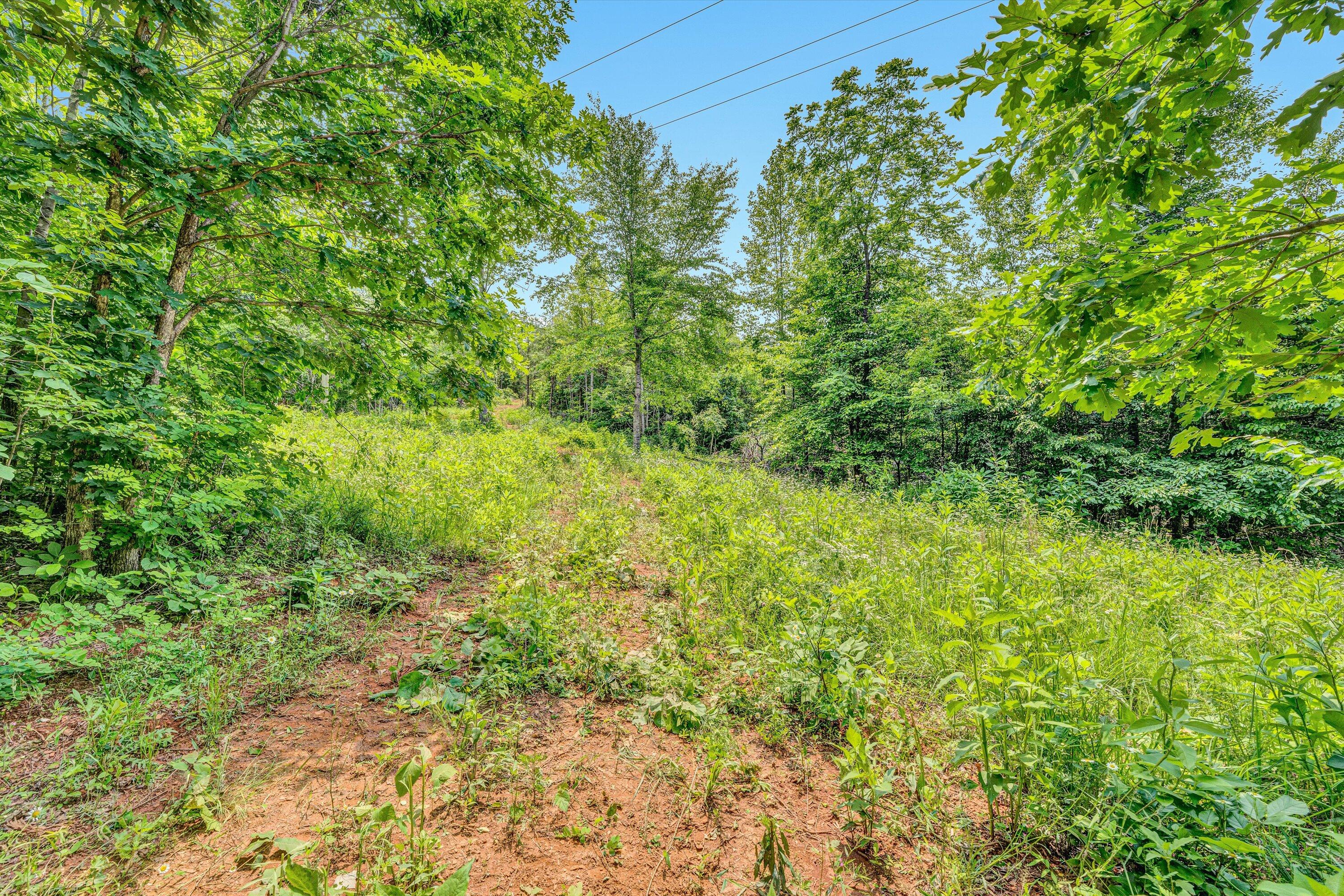 Tract C Clover Creek Rd, Huddleston, Virginia image 13
