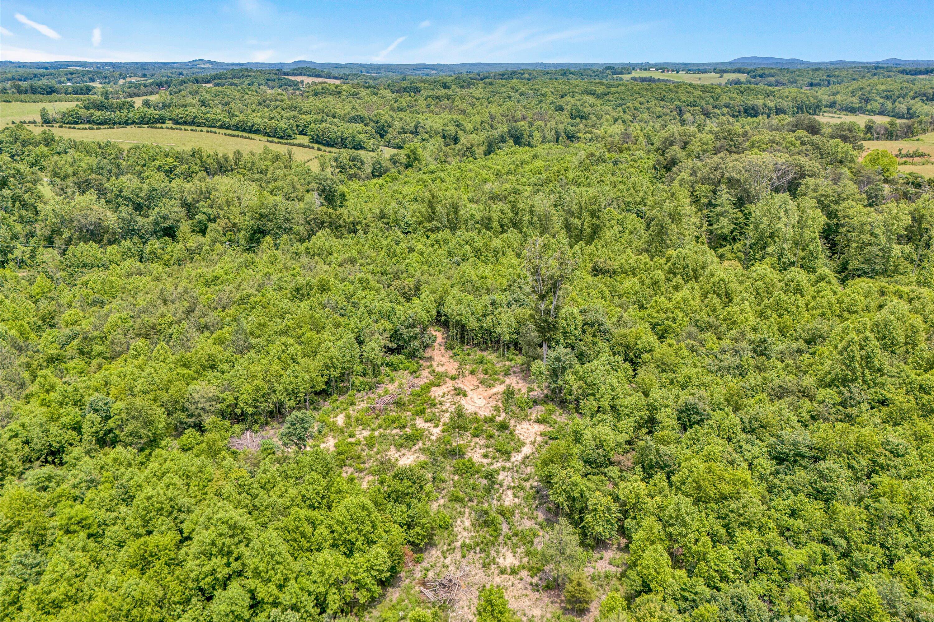 Tract C Clover Creek Rd, Huddleston, Virginia image 6