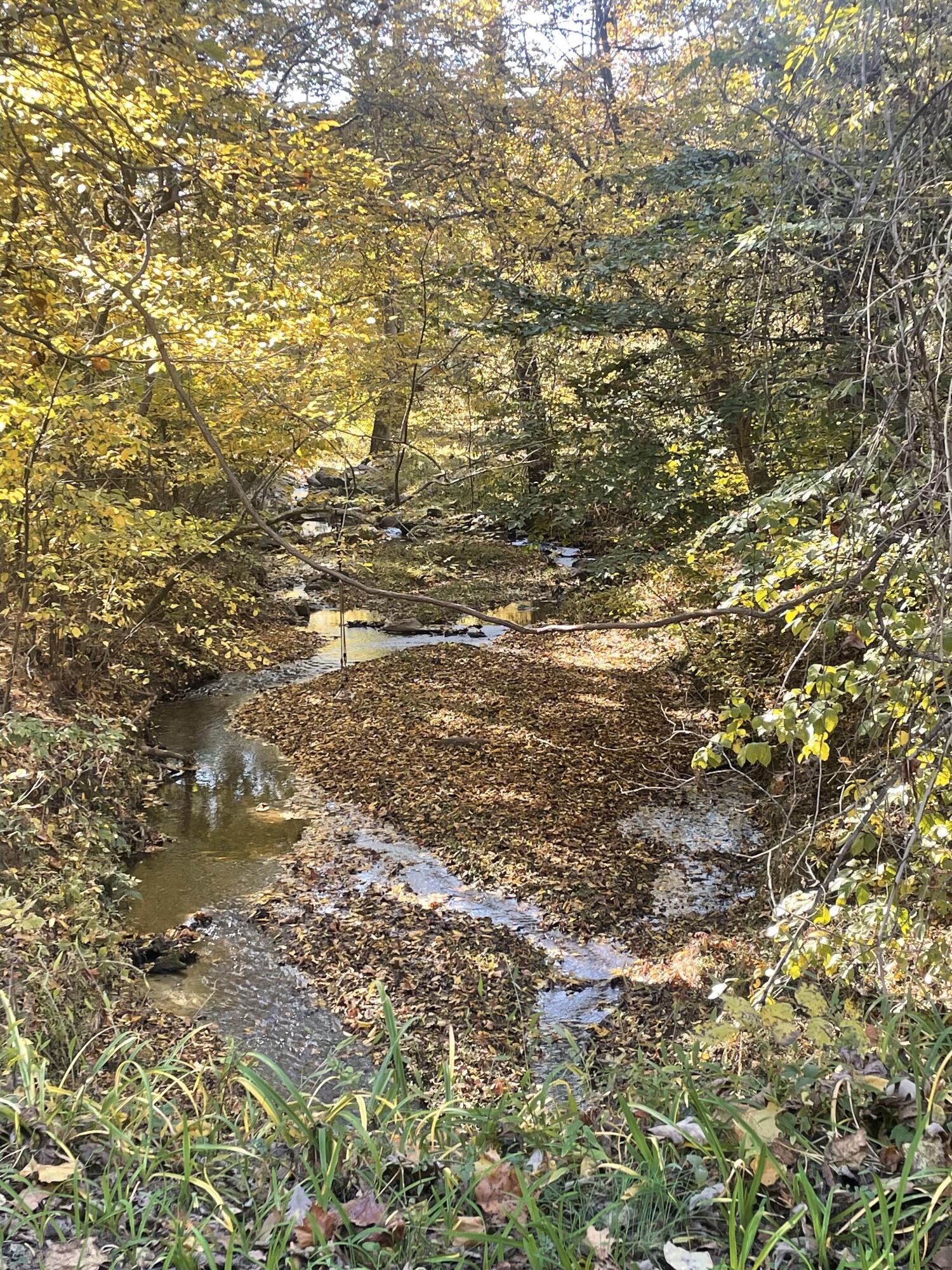 Tract C Clover Creek Rd, Huddleston, Virginia image 20