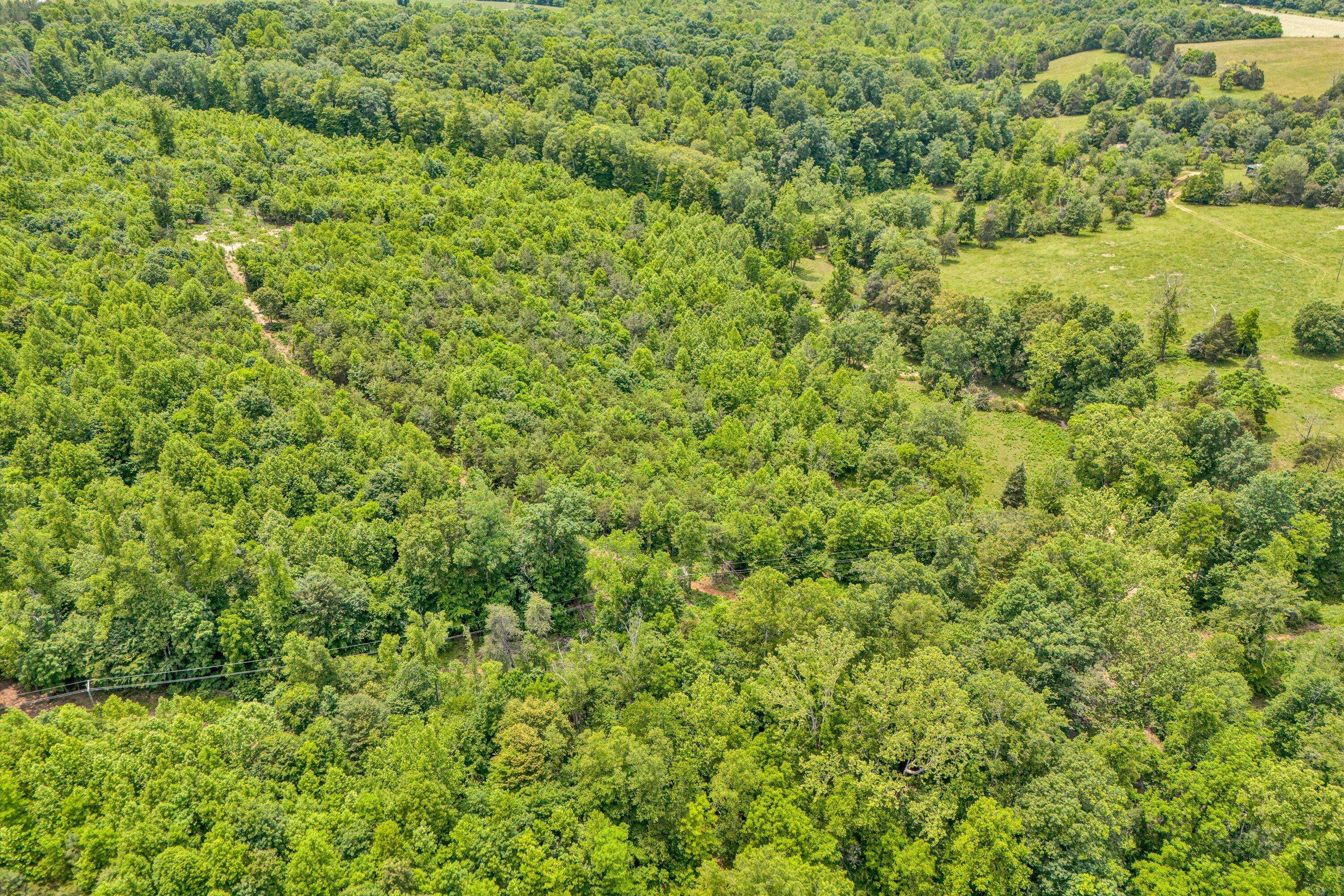 Tract C Clover Creek Rd, Huddleston, Virginia image 2