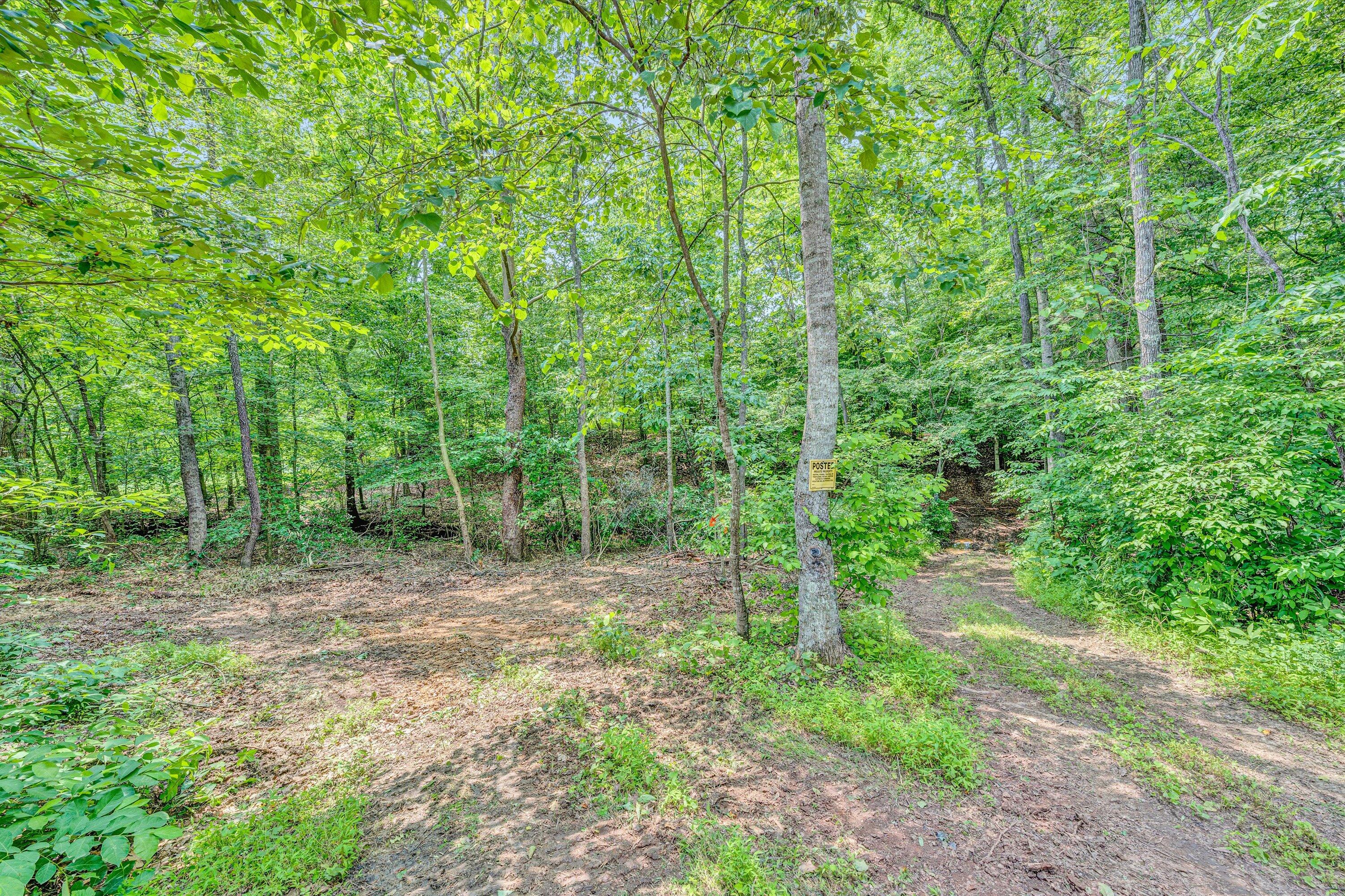 Tract C Clover Creek Rd, Huddleston, Virginia image 9