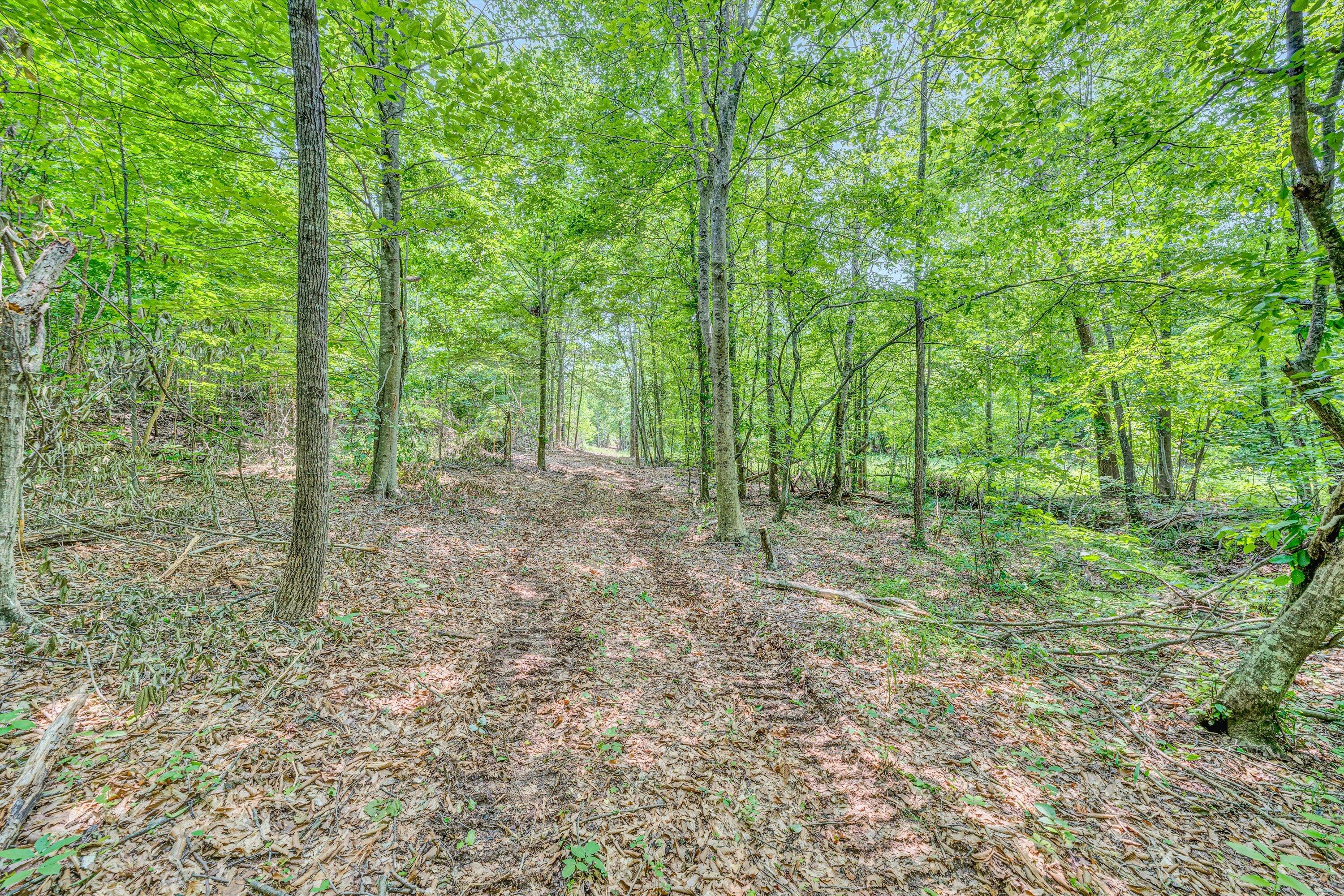 Tract C Clover Creek Rd, Huddleston, Virginia image 16