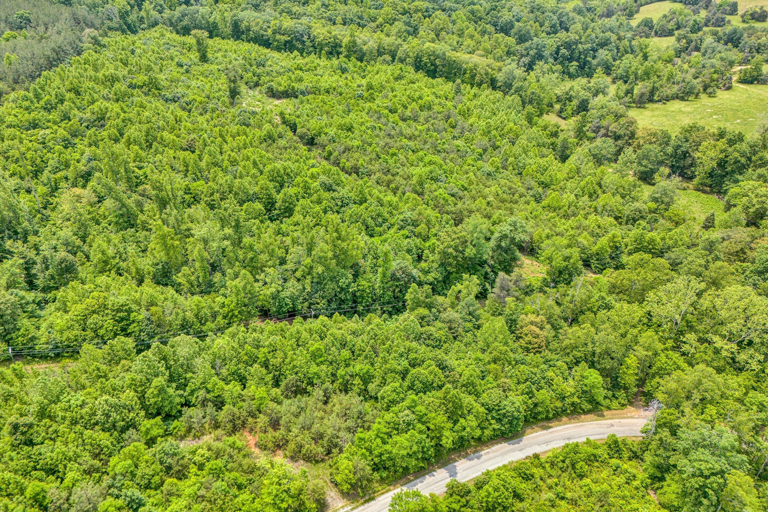 Tract C Clover Creek Rd, Huddleston, Virginia image 4