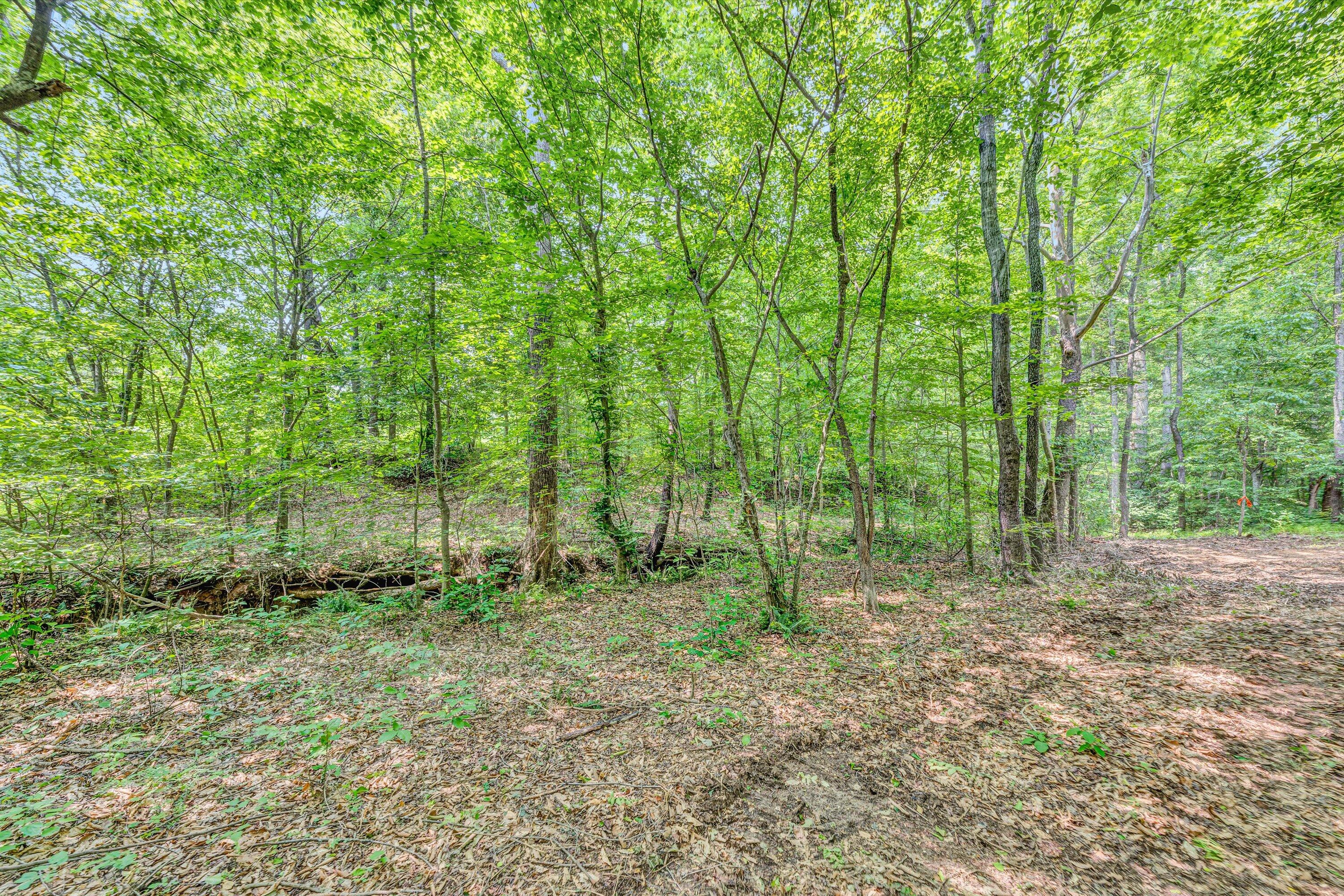 Tract C Clover Creek Rd, Huddleston, Virginia image 17