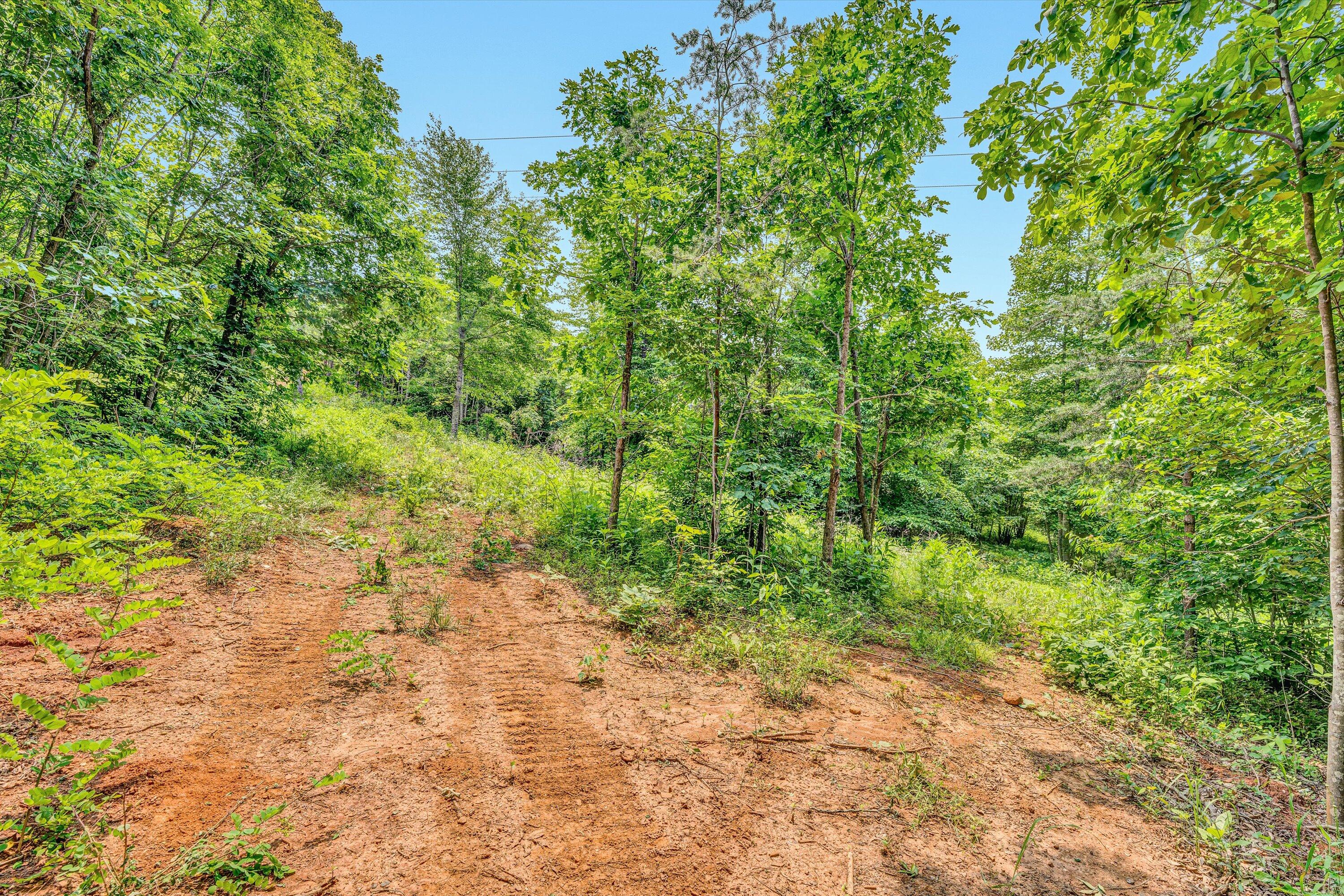 Tract C Clover Creek Rd, Huddleston, Virginia image 12