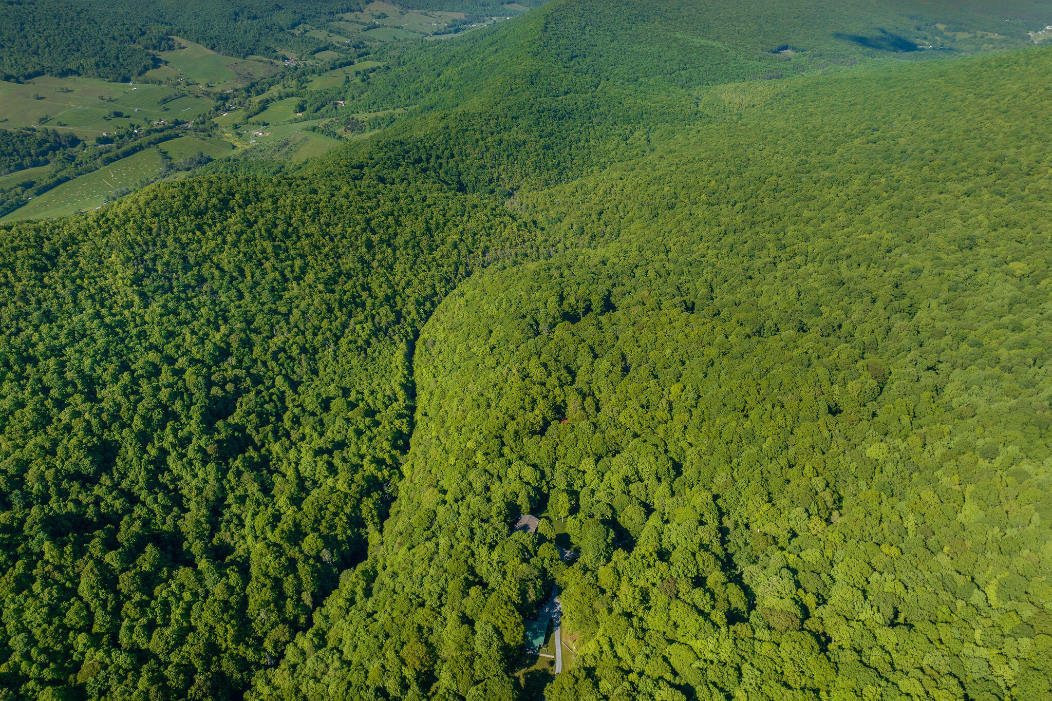 1679 Wolf Creek Dr, Tazewell, Virginia image 3